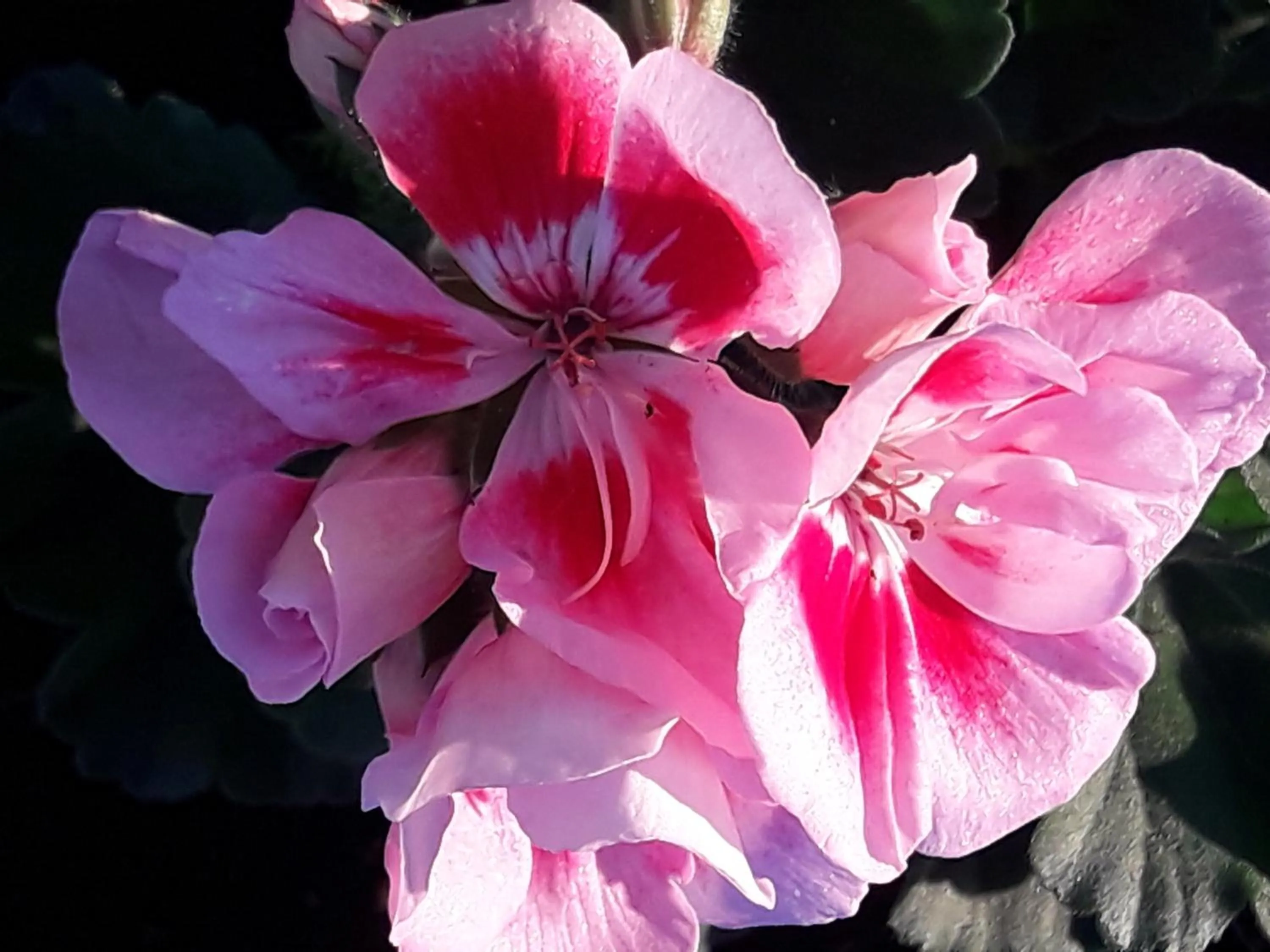 Spring in Palmita Hotel Hostel