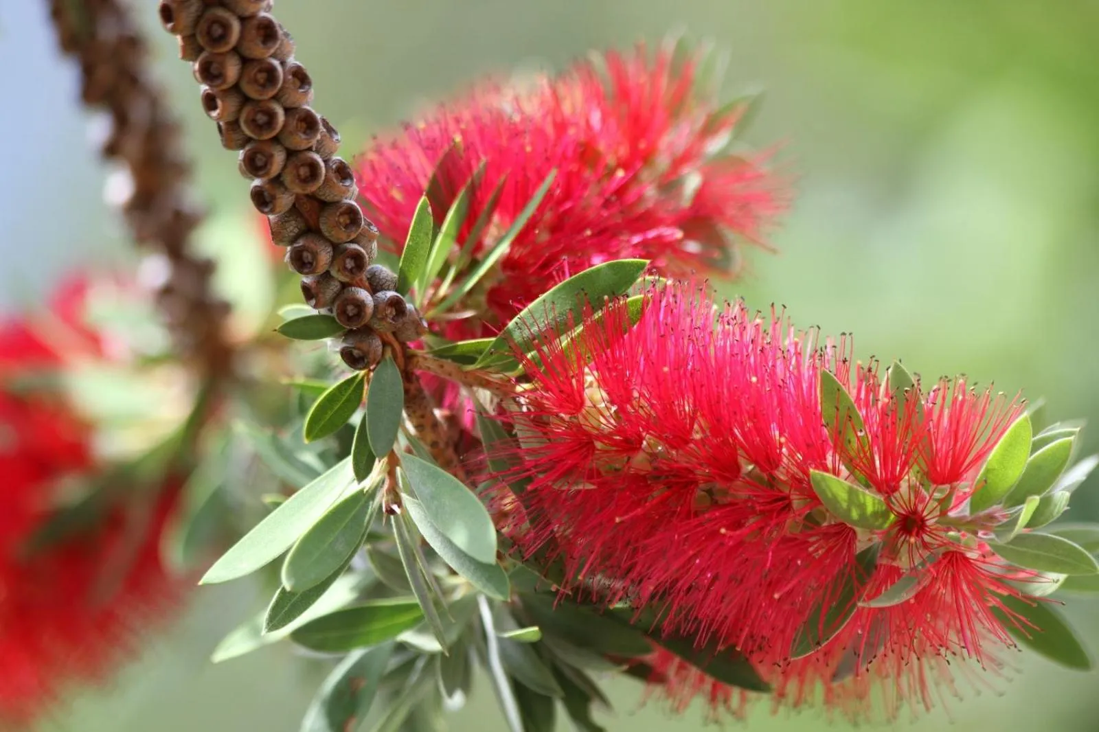 Swimming pool in Palmita Hotel Hostel