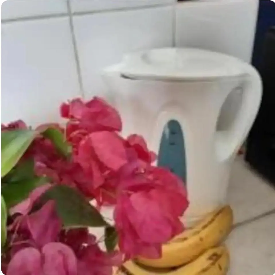 Kitchen or kitchenette in Palmita Hotel Hostel