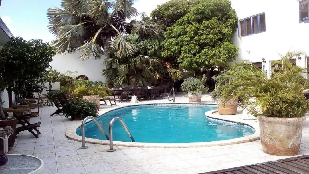 Garden view in Palmita Hotel Hostel