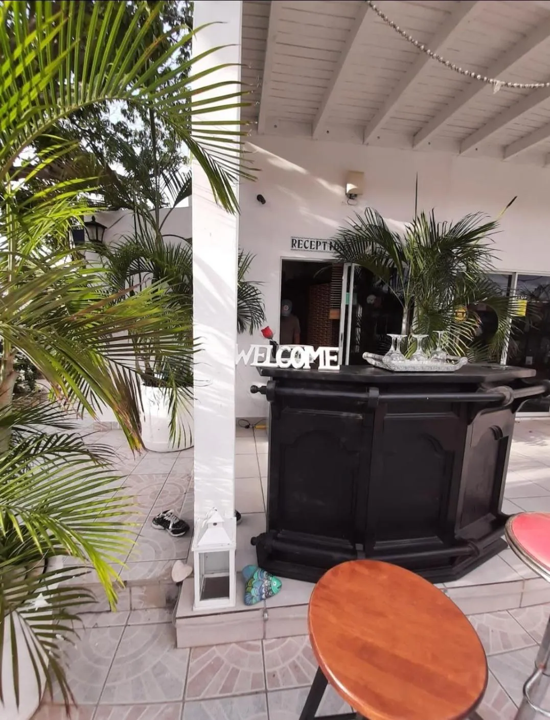 Lounge or bar in Palmita Hotel Hostel