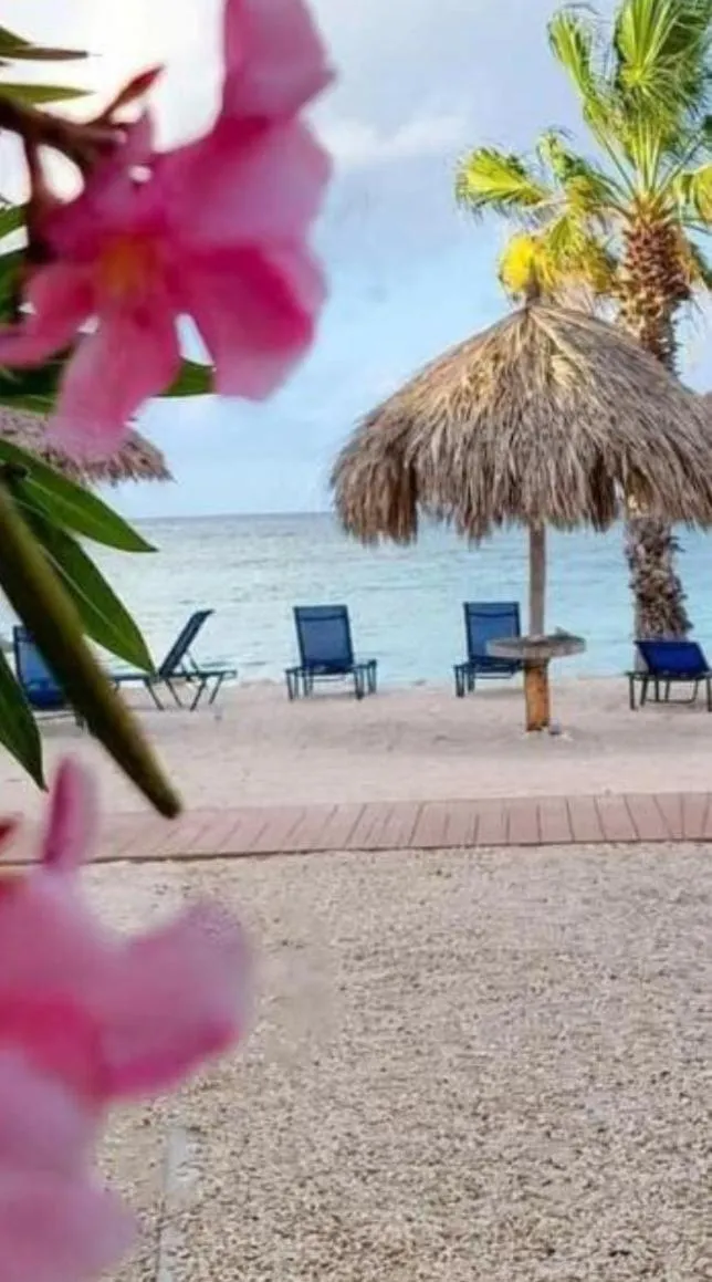 Nearby landmark in Palmita Hotel Hostel