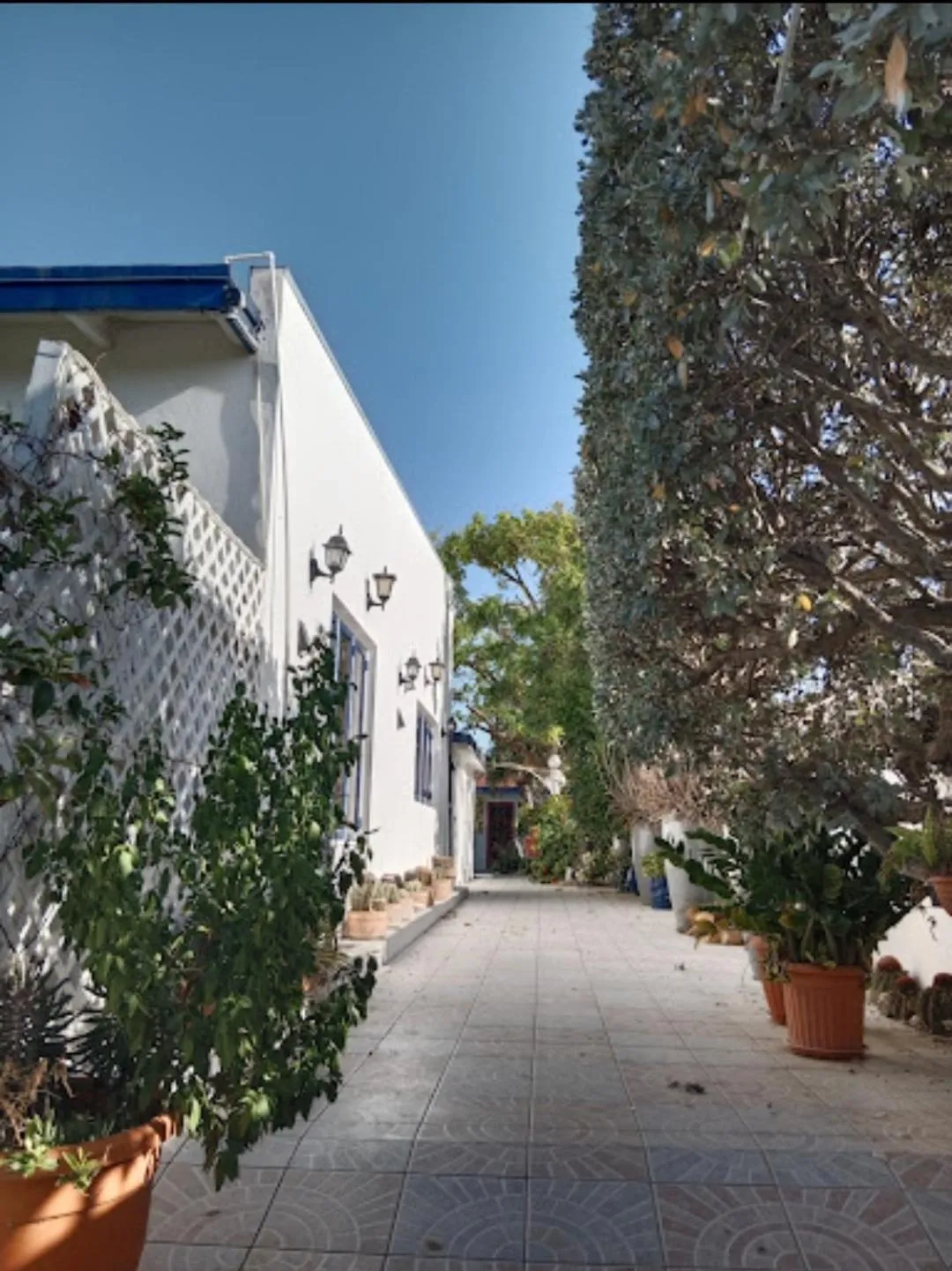 Property building in Palmita Hotel Hostel