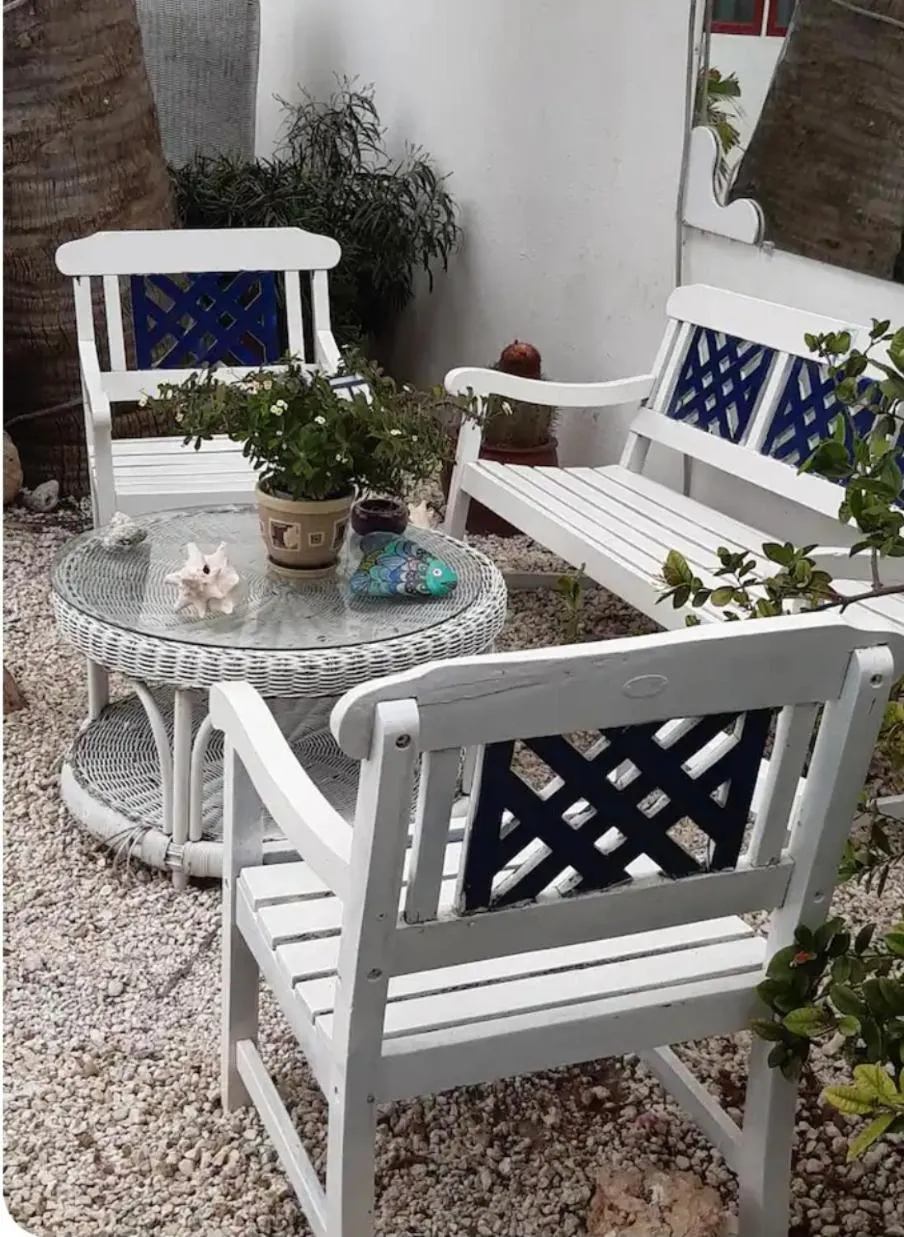 Garden in Palmita Hotel Hostel