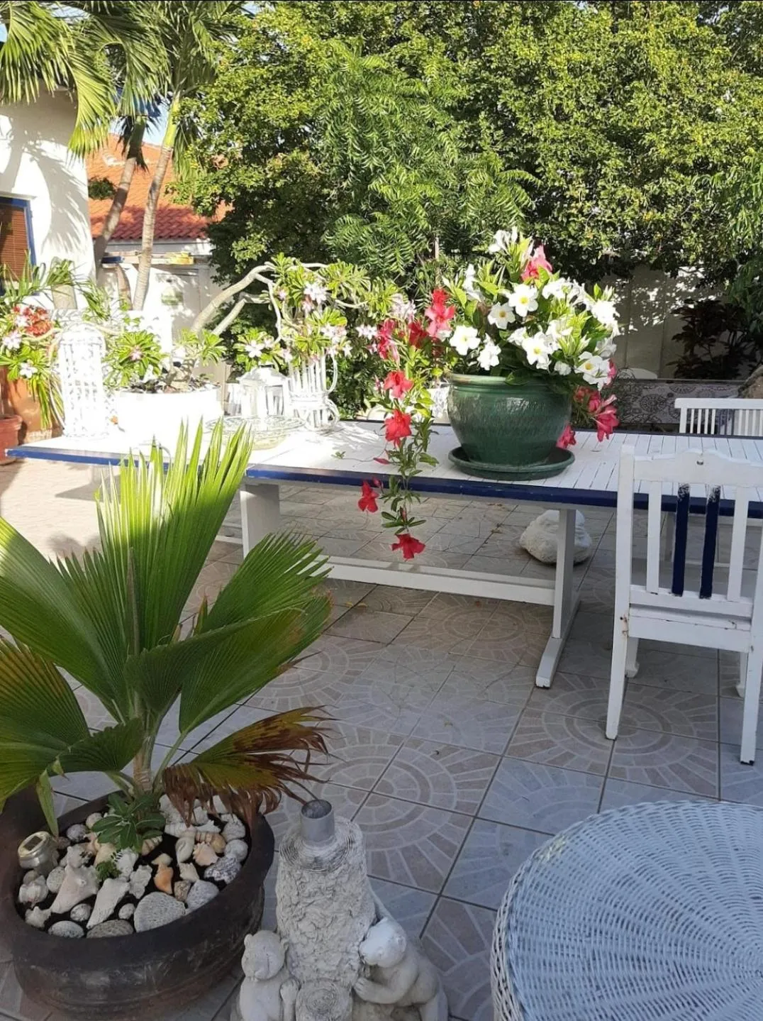 Patio in Palmita Hotel Hostel