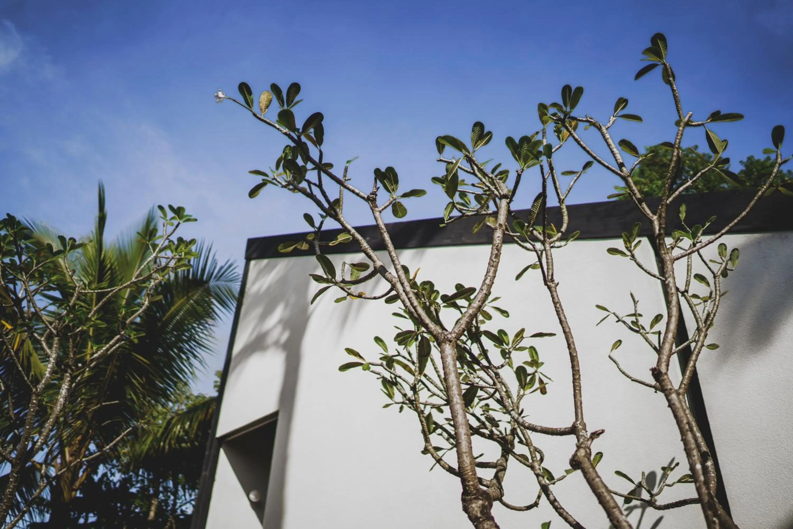 Property building in The Saren