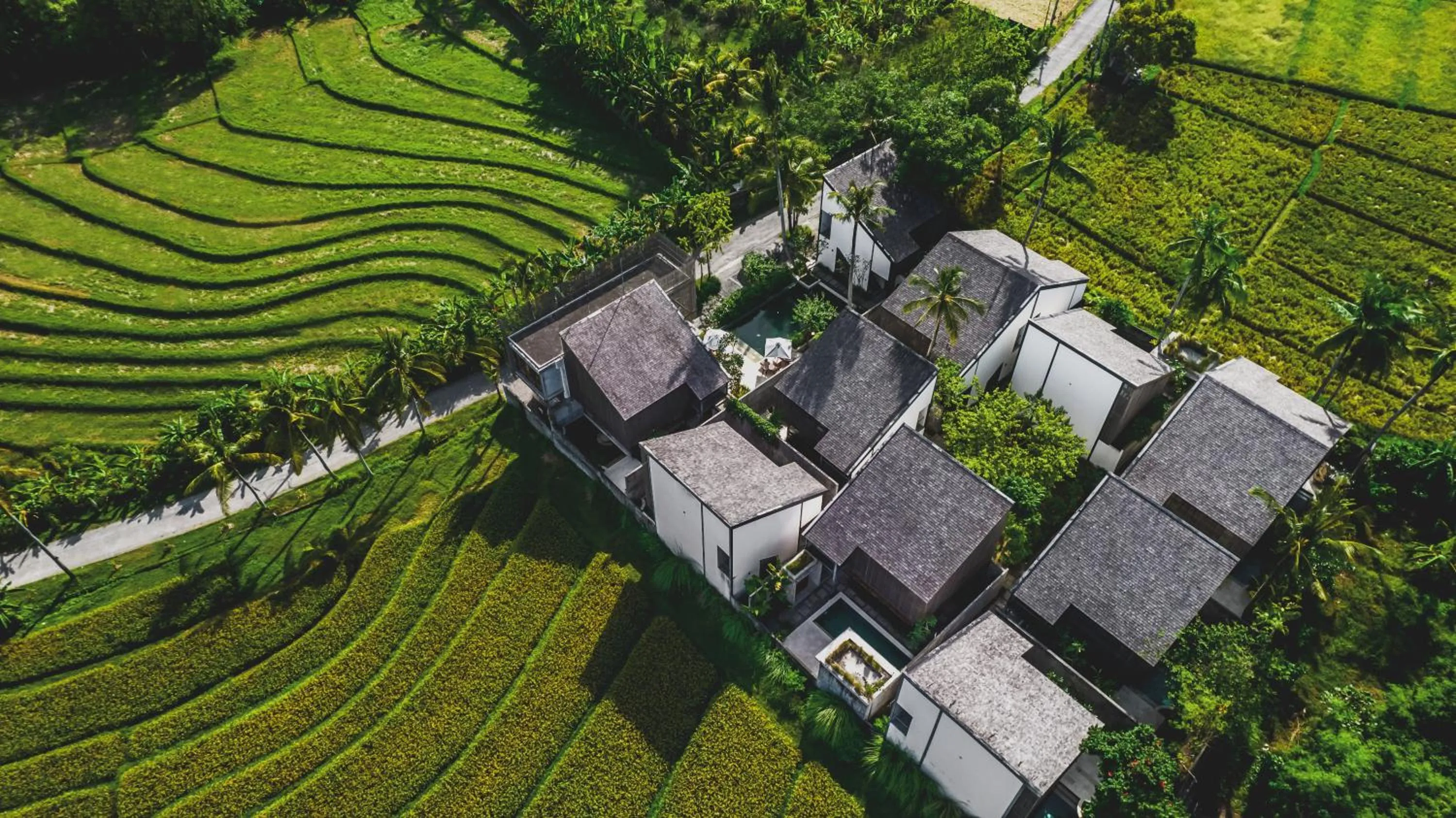 Property building in The Saren