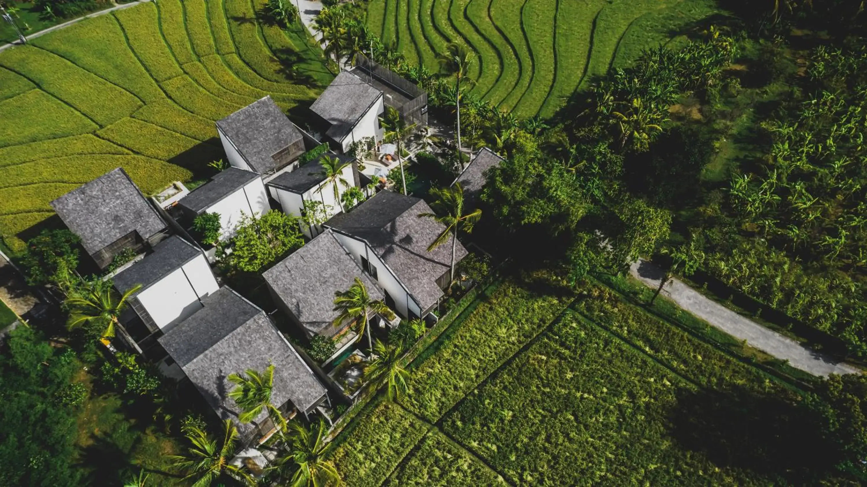 Property building in The Saren Property building in The Saren