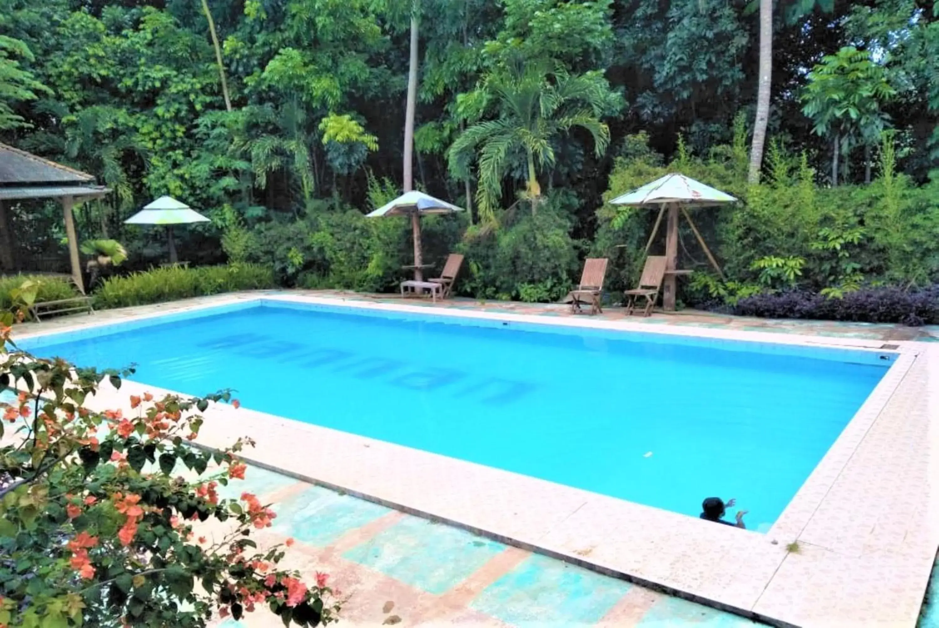 Swimming Pool in Penginapan Rudi