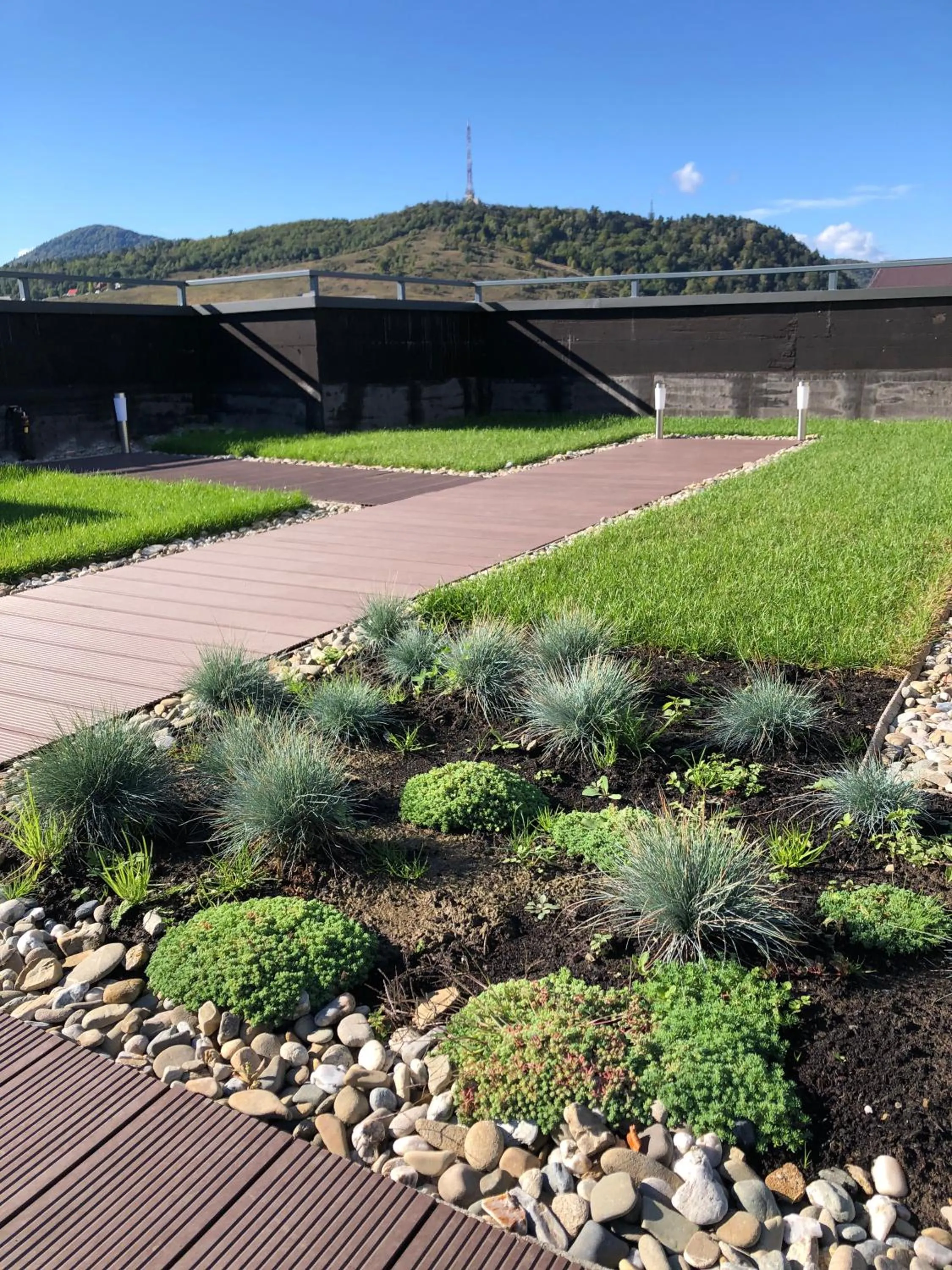 Balcony/Terrace in Clement Apartments