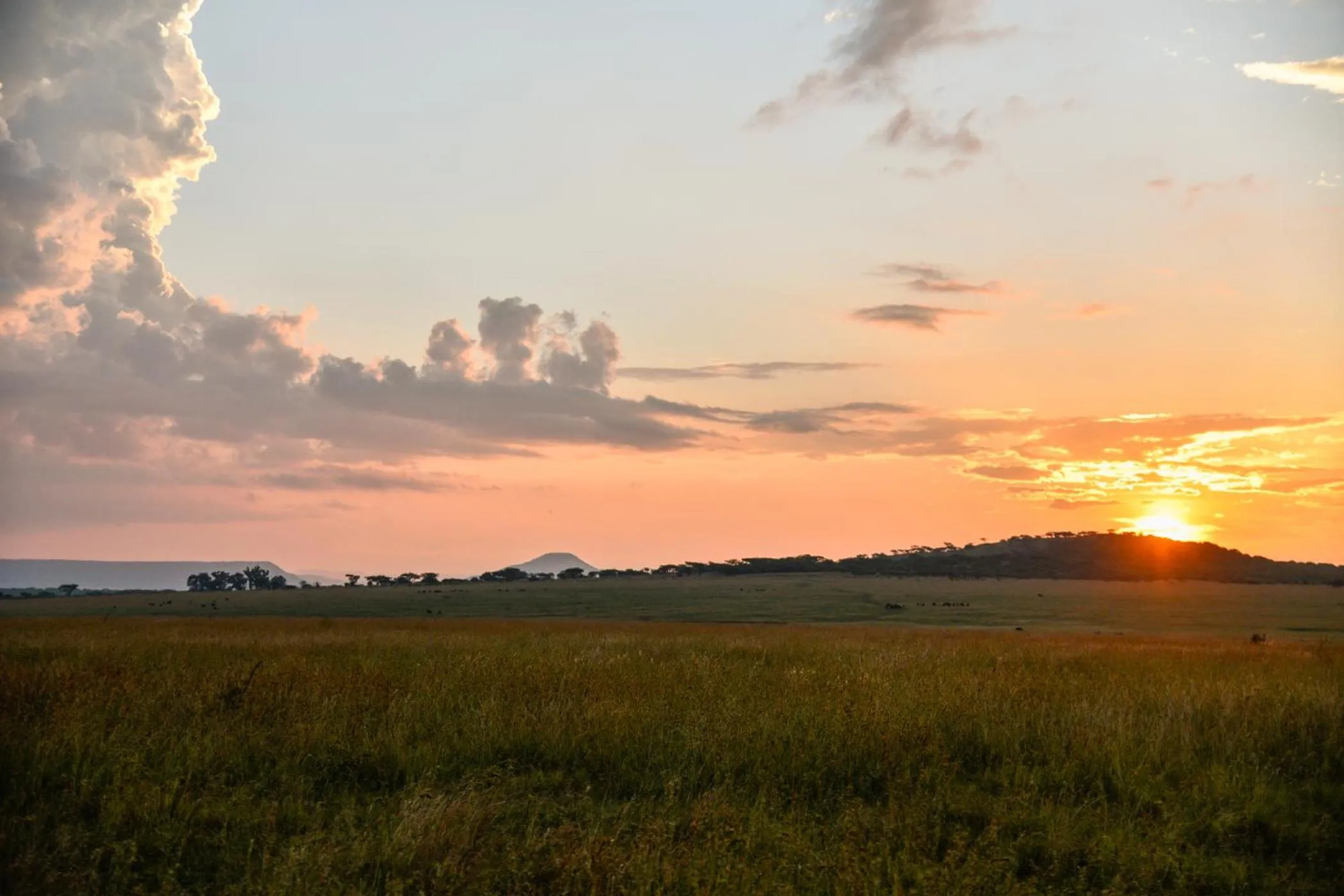 View (from property/room) in The Springbok Lodge