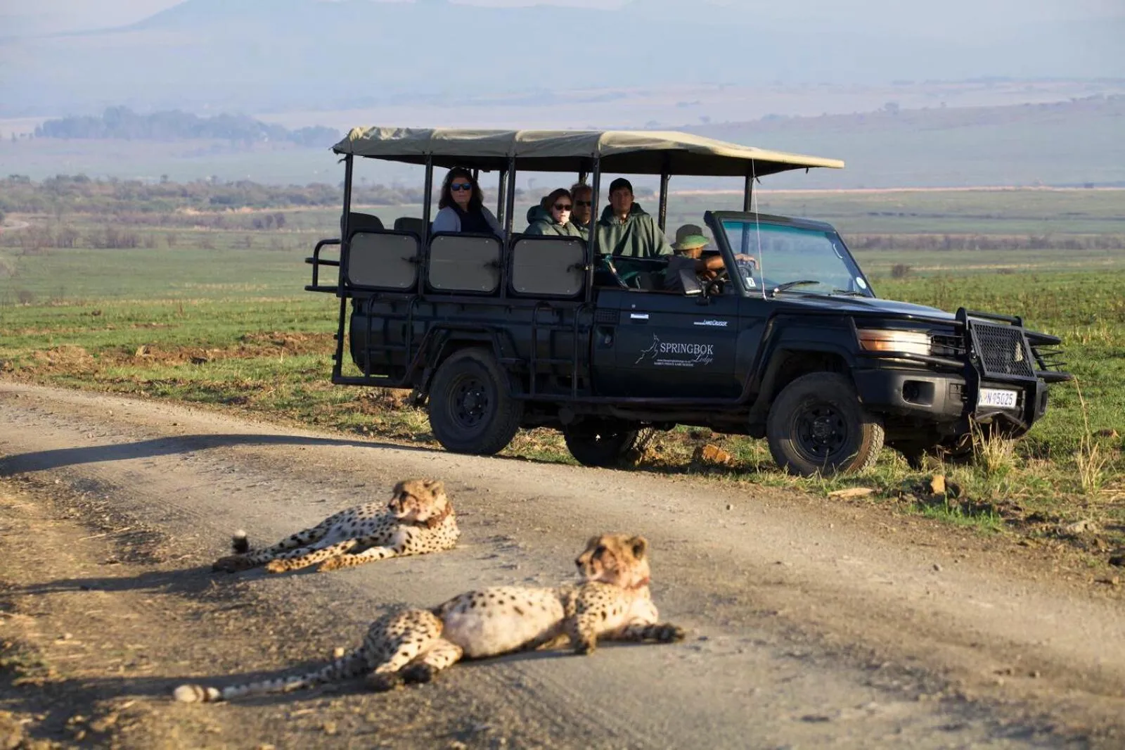 Activities in The Springbok Lodge