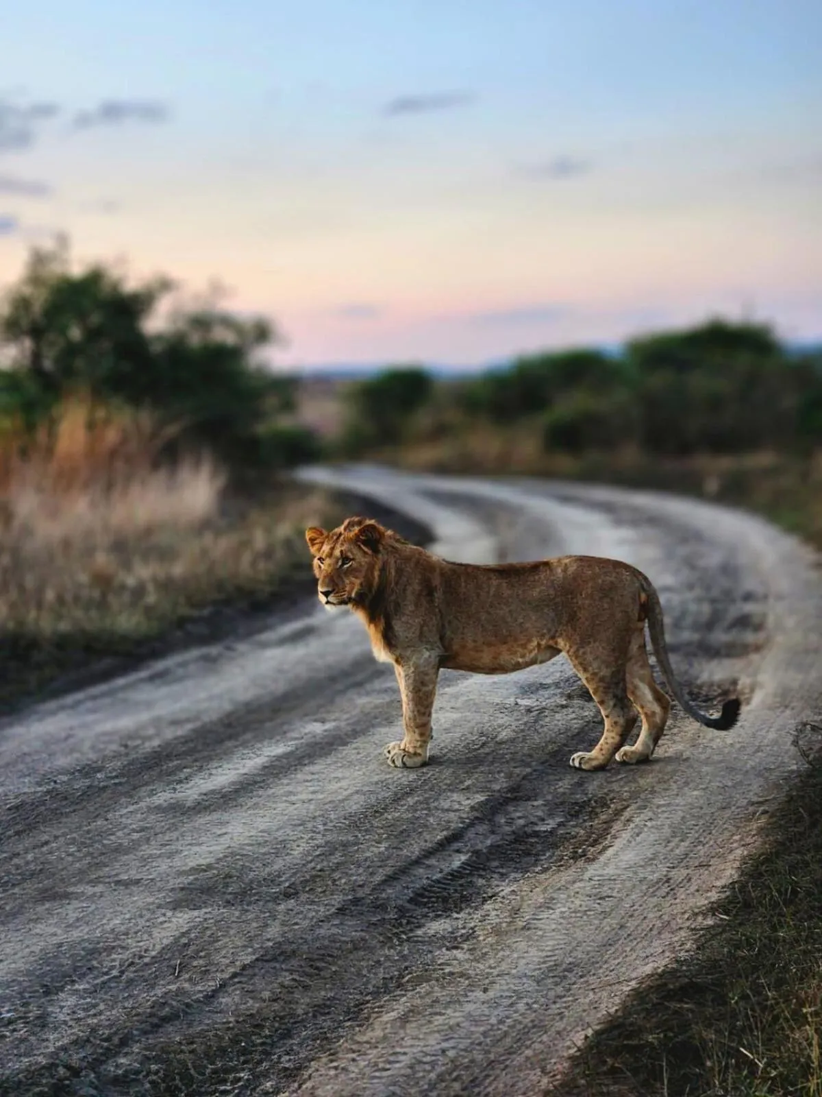 Activities in The Springbok Lodge