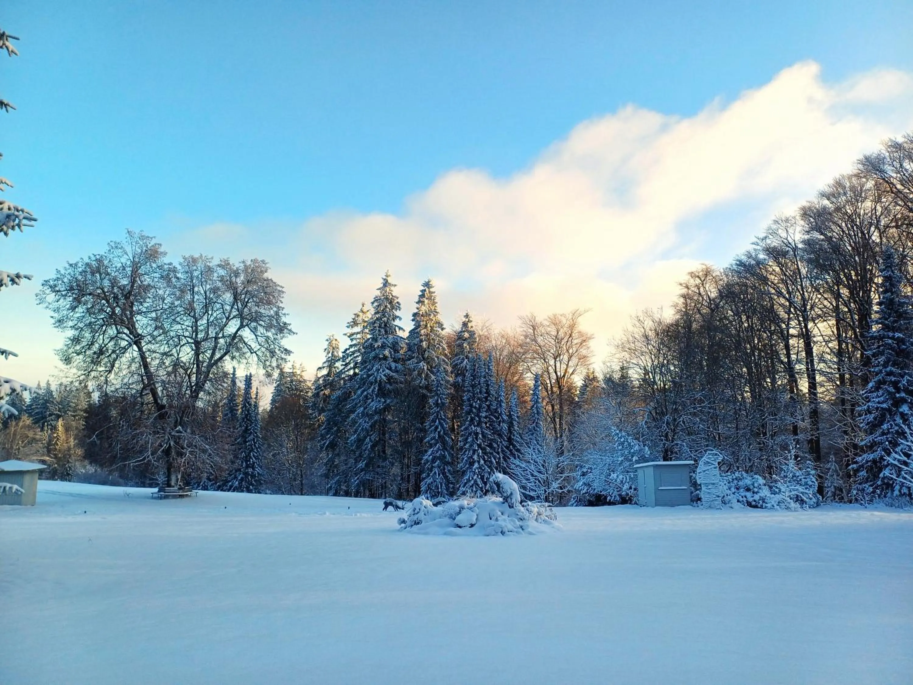 View (from property/room) in BERG & SPA HOTEL GABELBACH