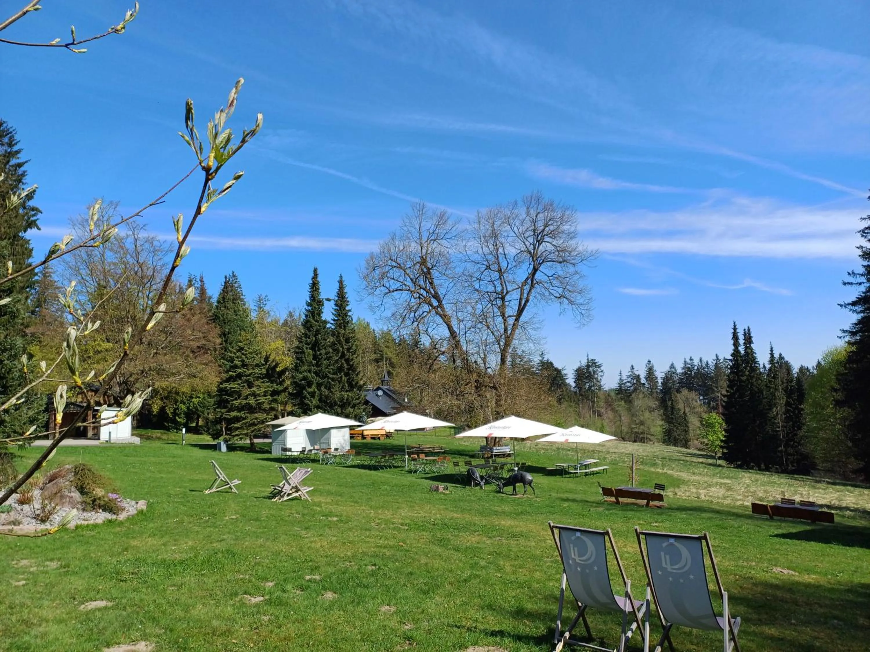 Garden in BERG & SPA HOTEL GABELBACH