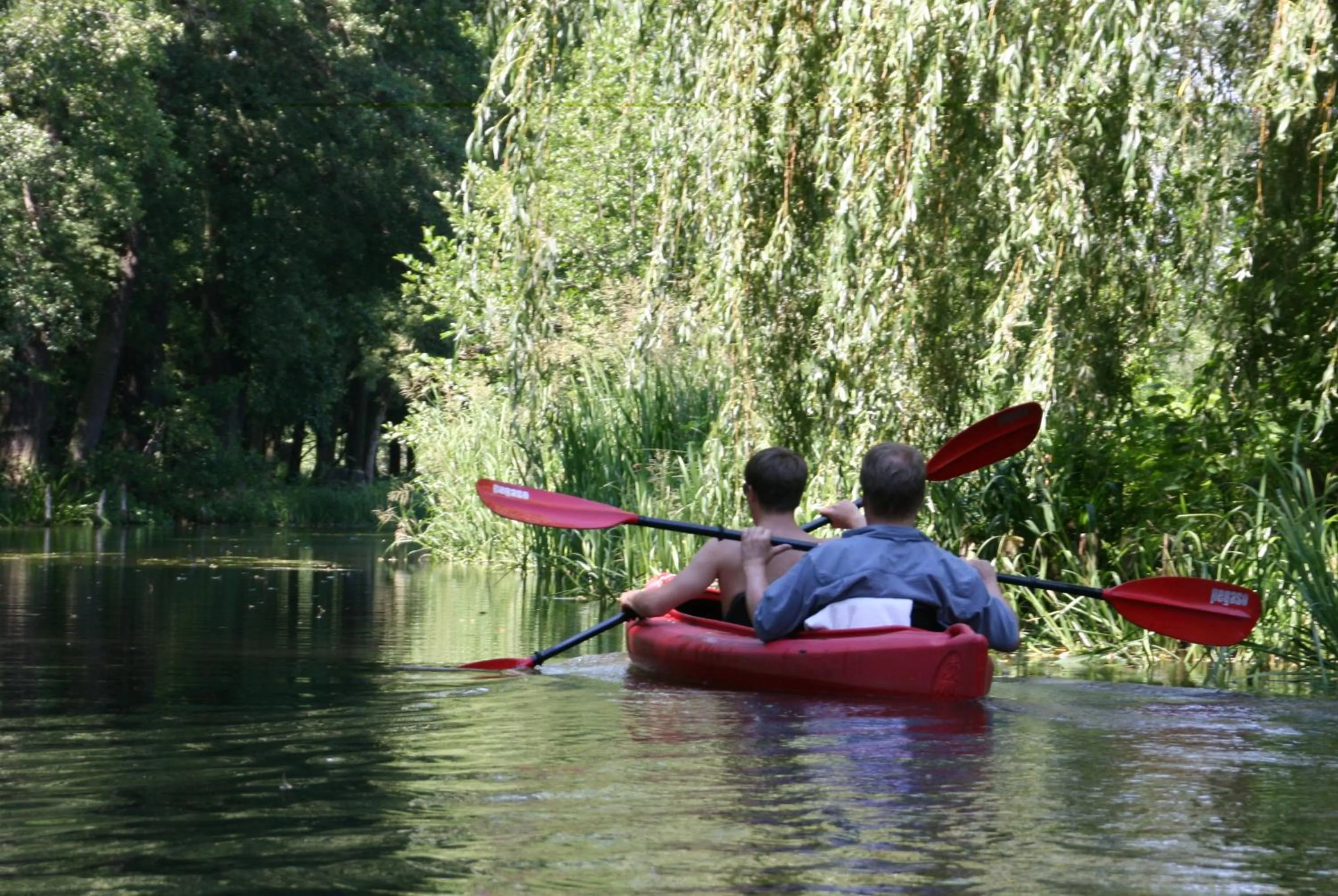Area and facilities in Hotel Nordic Spreewald
