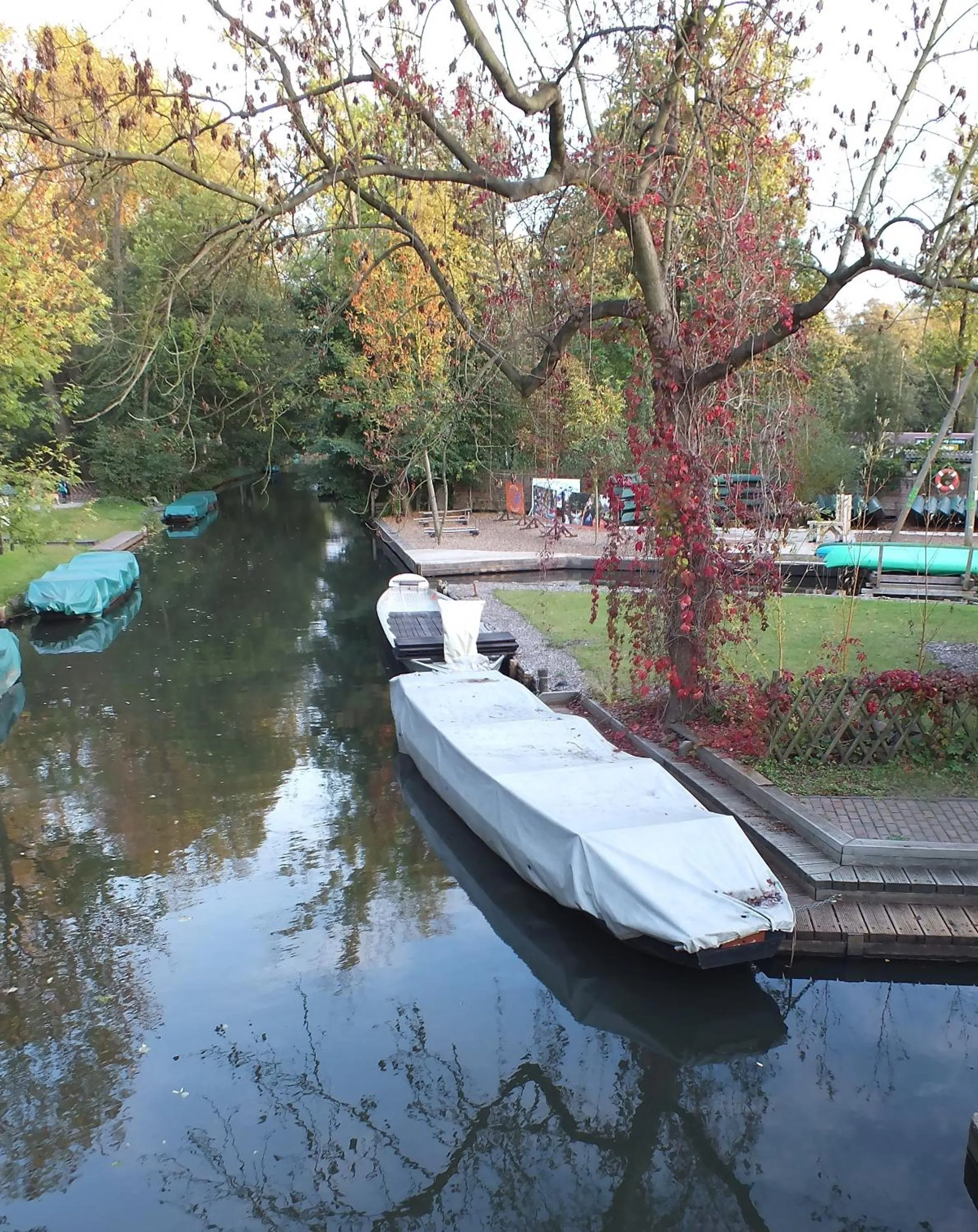 Natural landscape in Hotel Nordic Spreewald