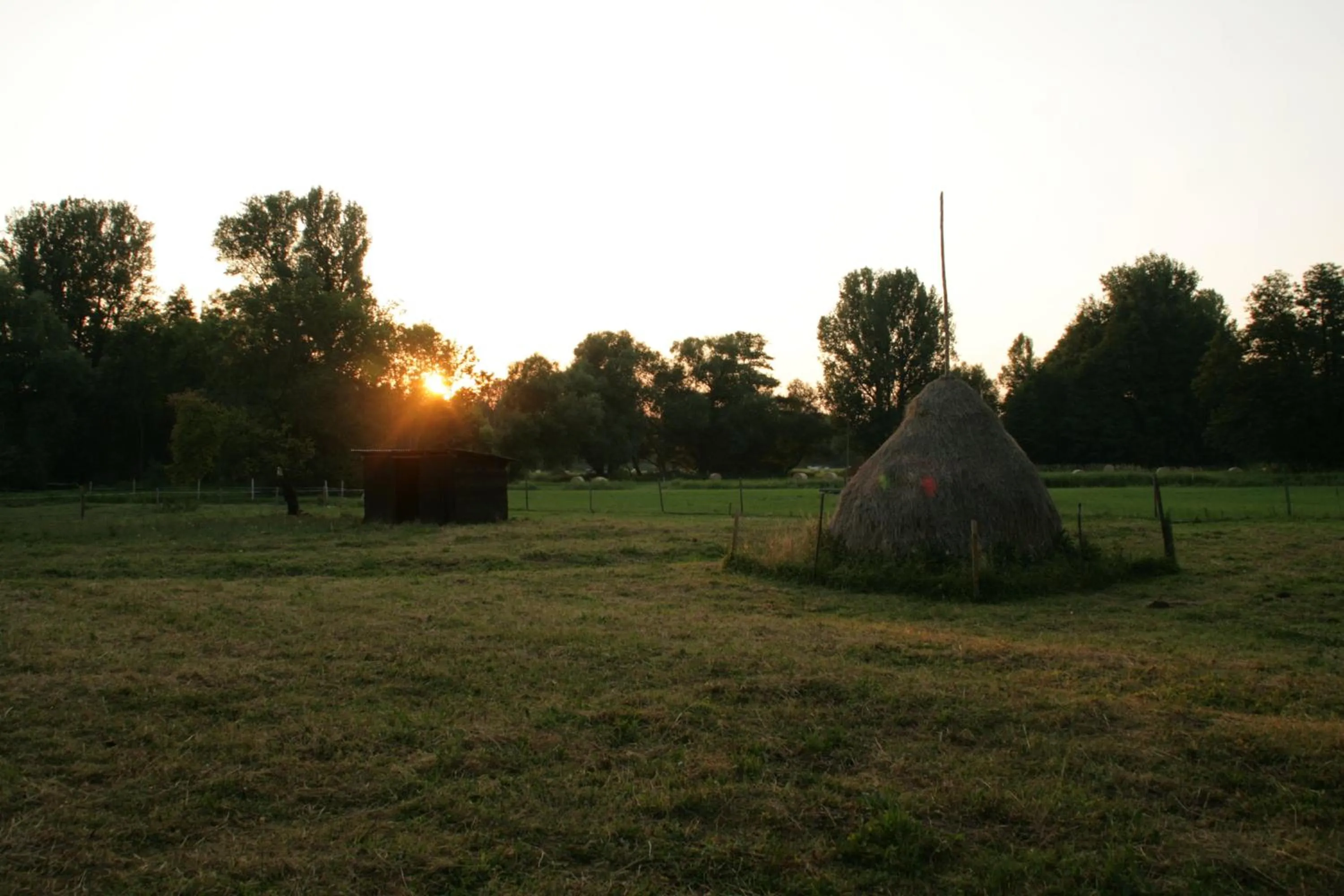 Area and facilities in Hotel Nordic Spreewald