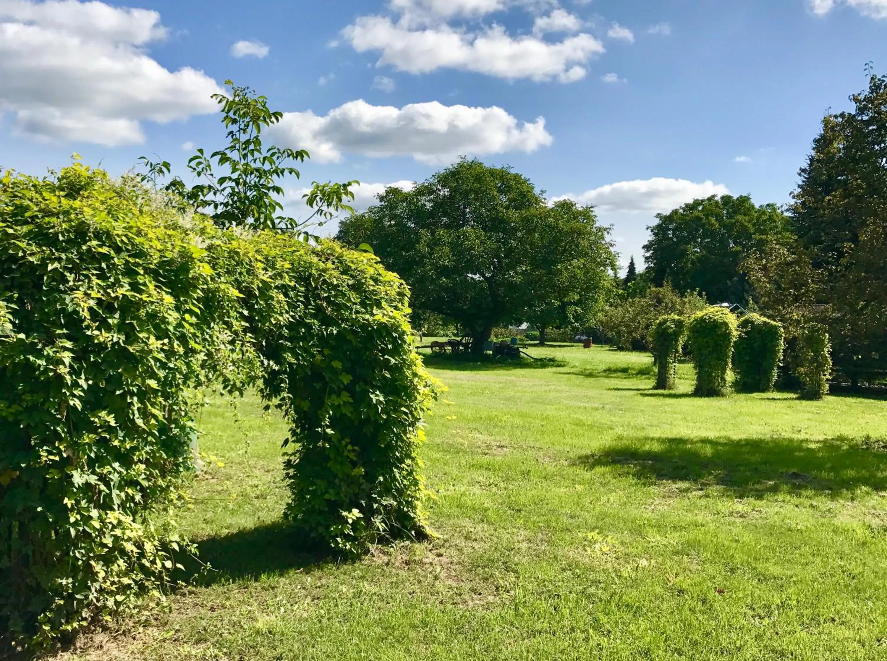 Garden in Hotel Nordic Spreewald