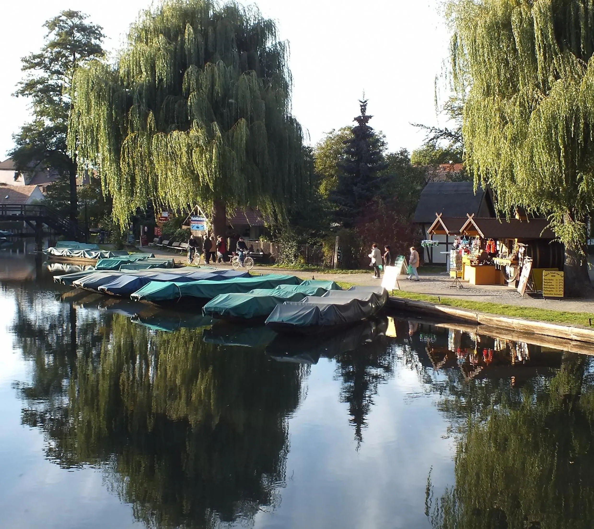 Natural landscape in Hotel Nordic Spreewald