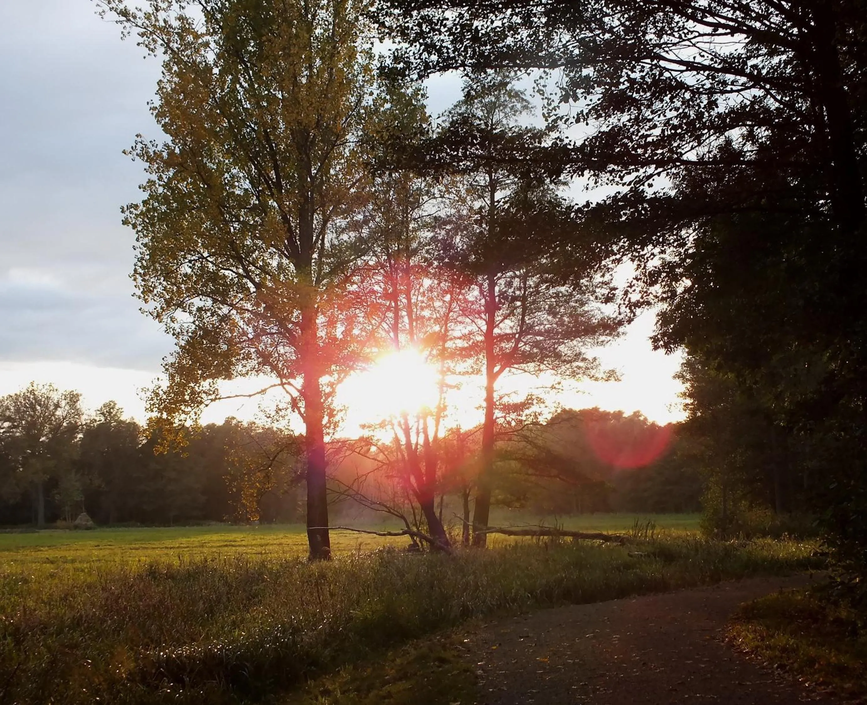 Natural landscape in Hotel Nordic Spreewald