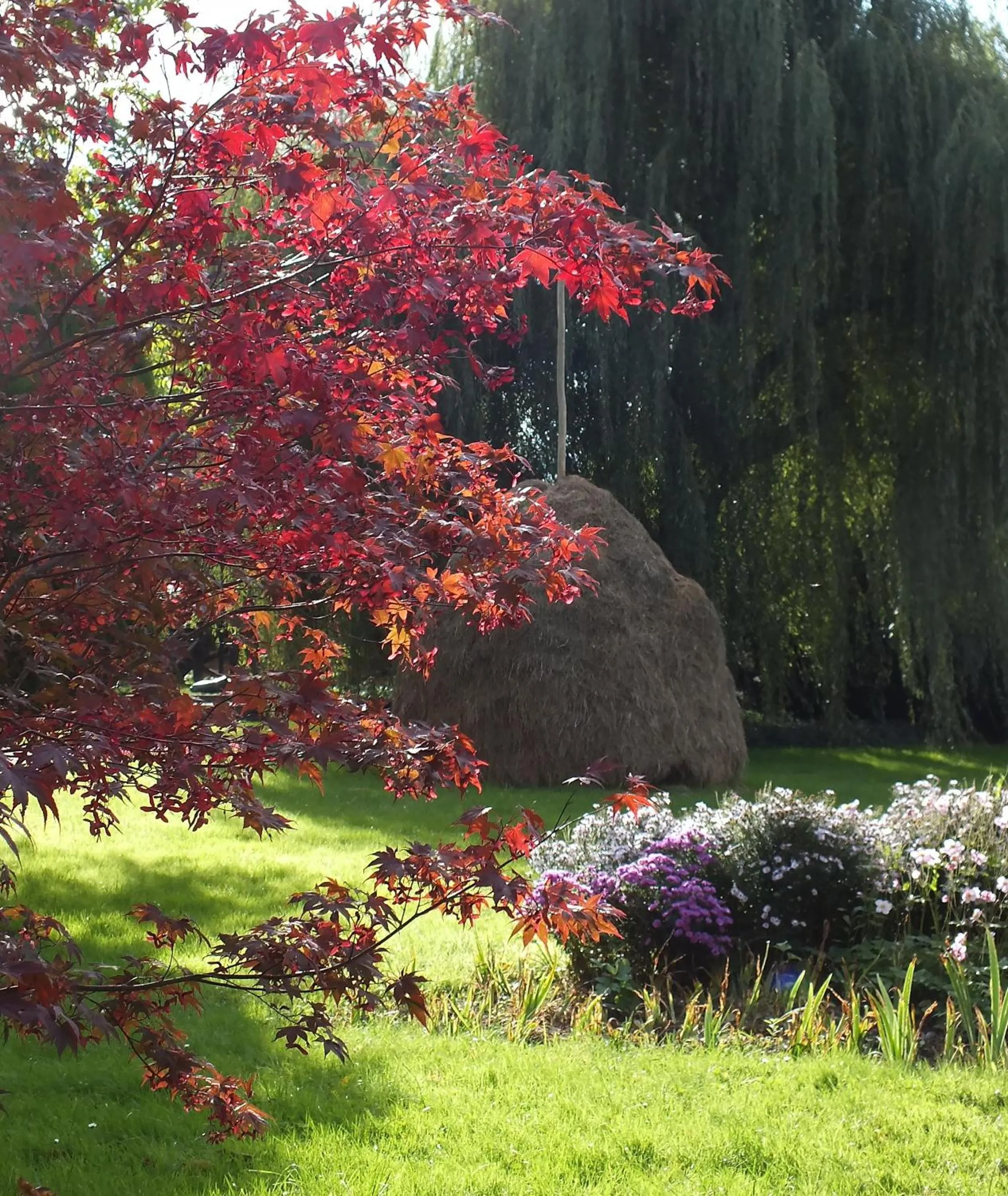 Day in Hotel Nordic Spreewald