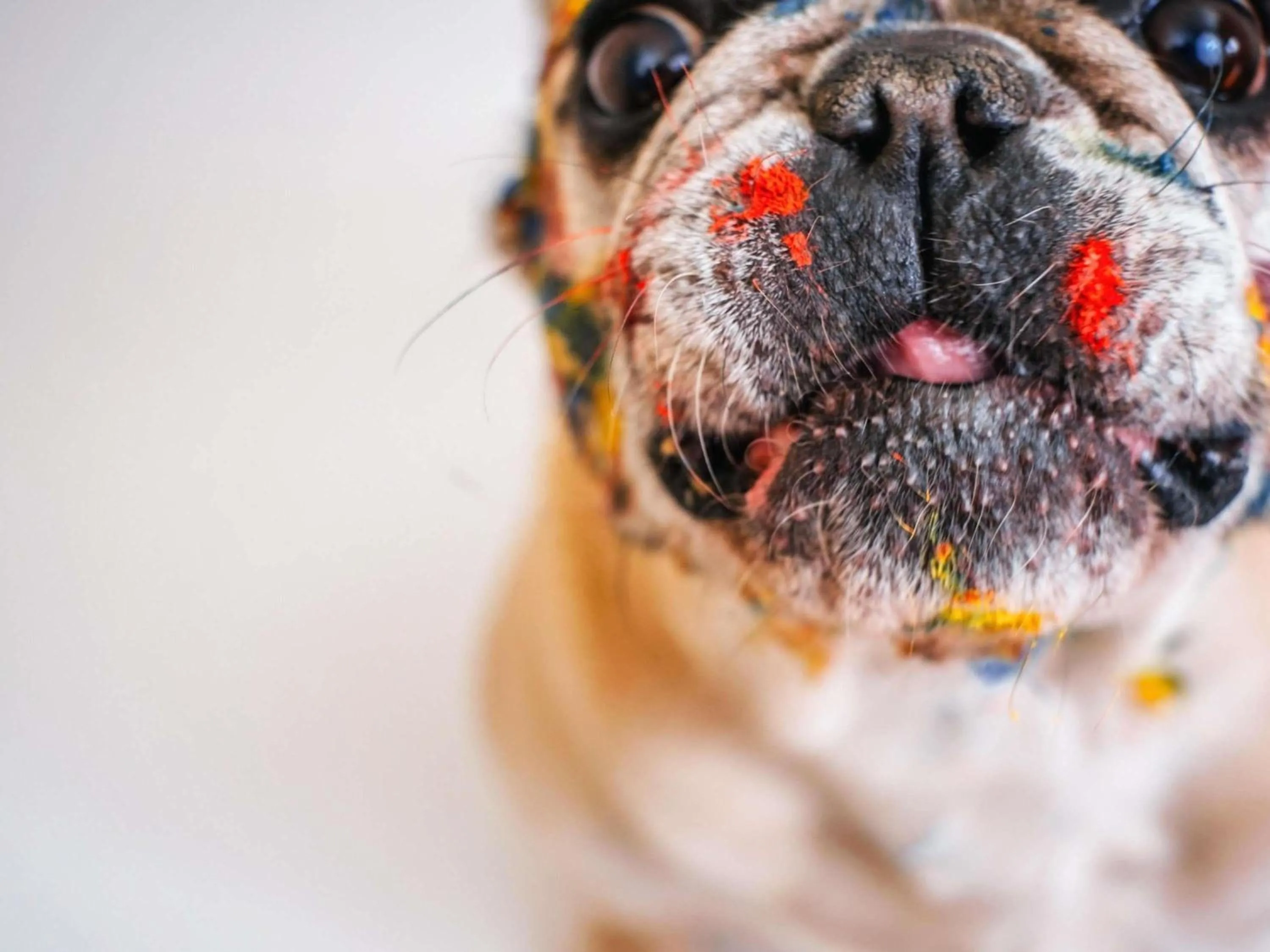 Other in Hôtel Ibis Budget Nantes Ouest Atlantis Couëron