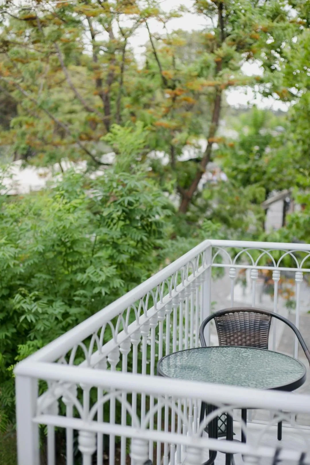 Garden view in Acropolis Vision