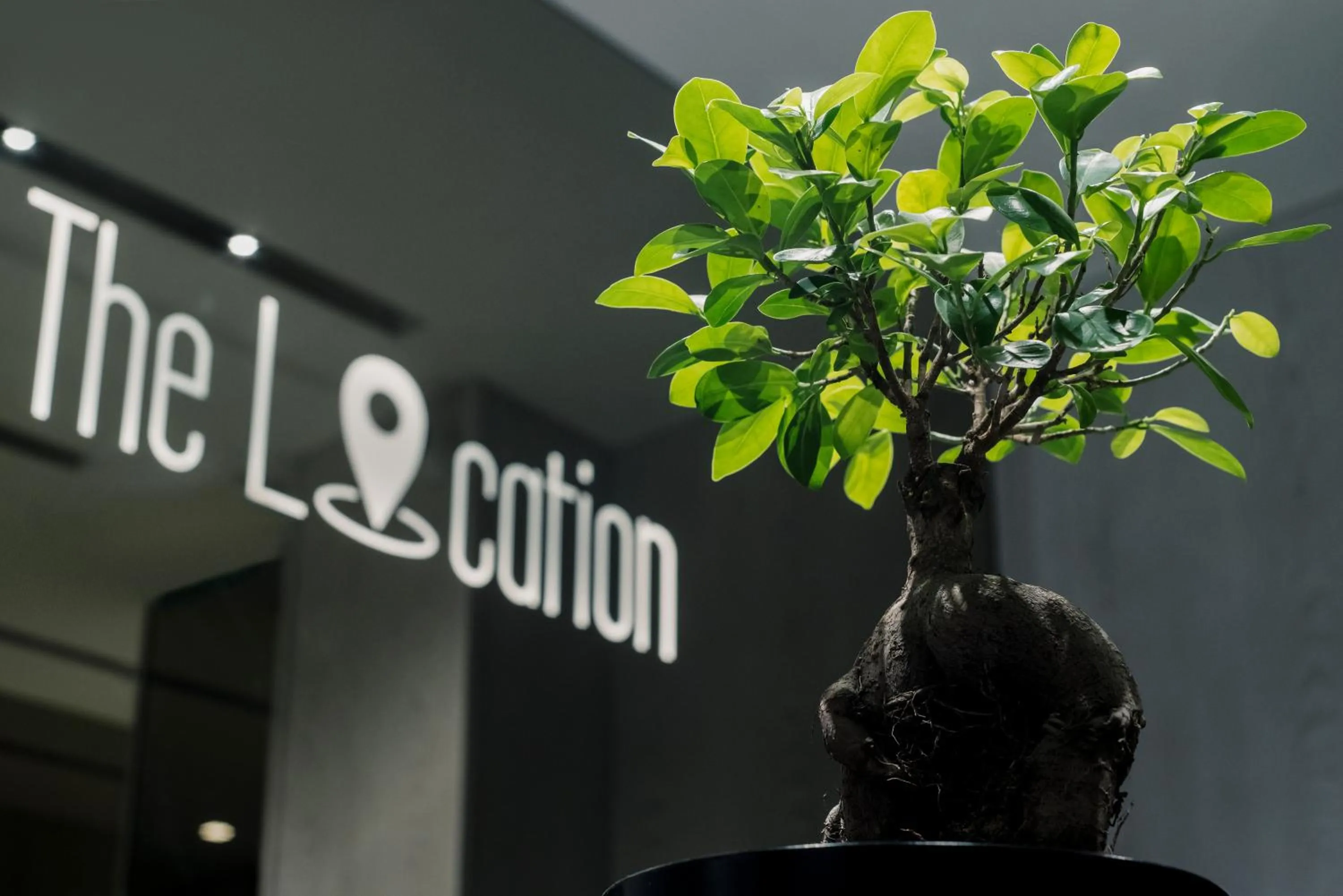 Property logo or sign in The Location Hotel