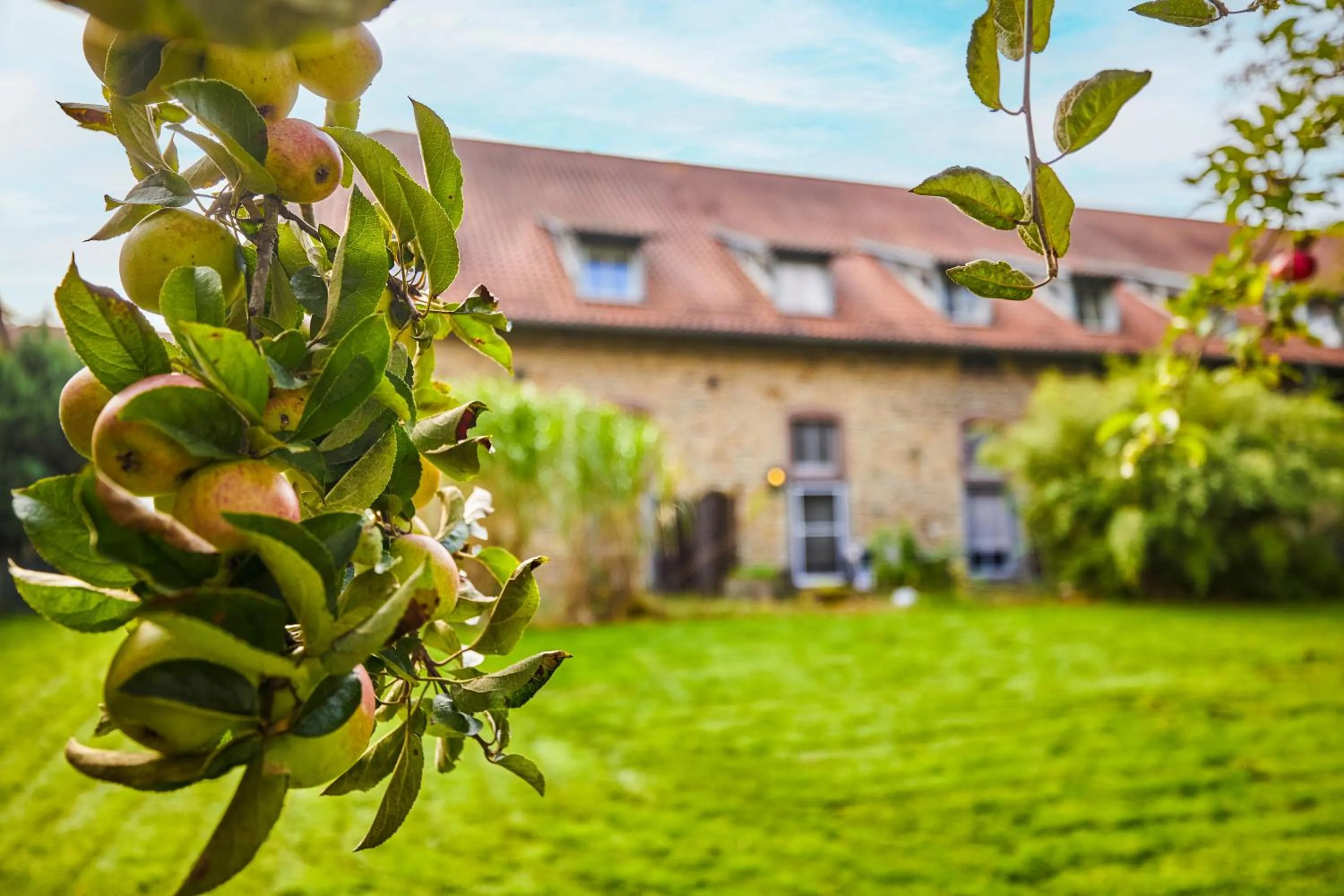 Property building in Landhaus Schieder