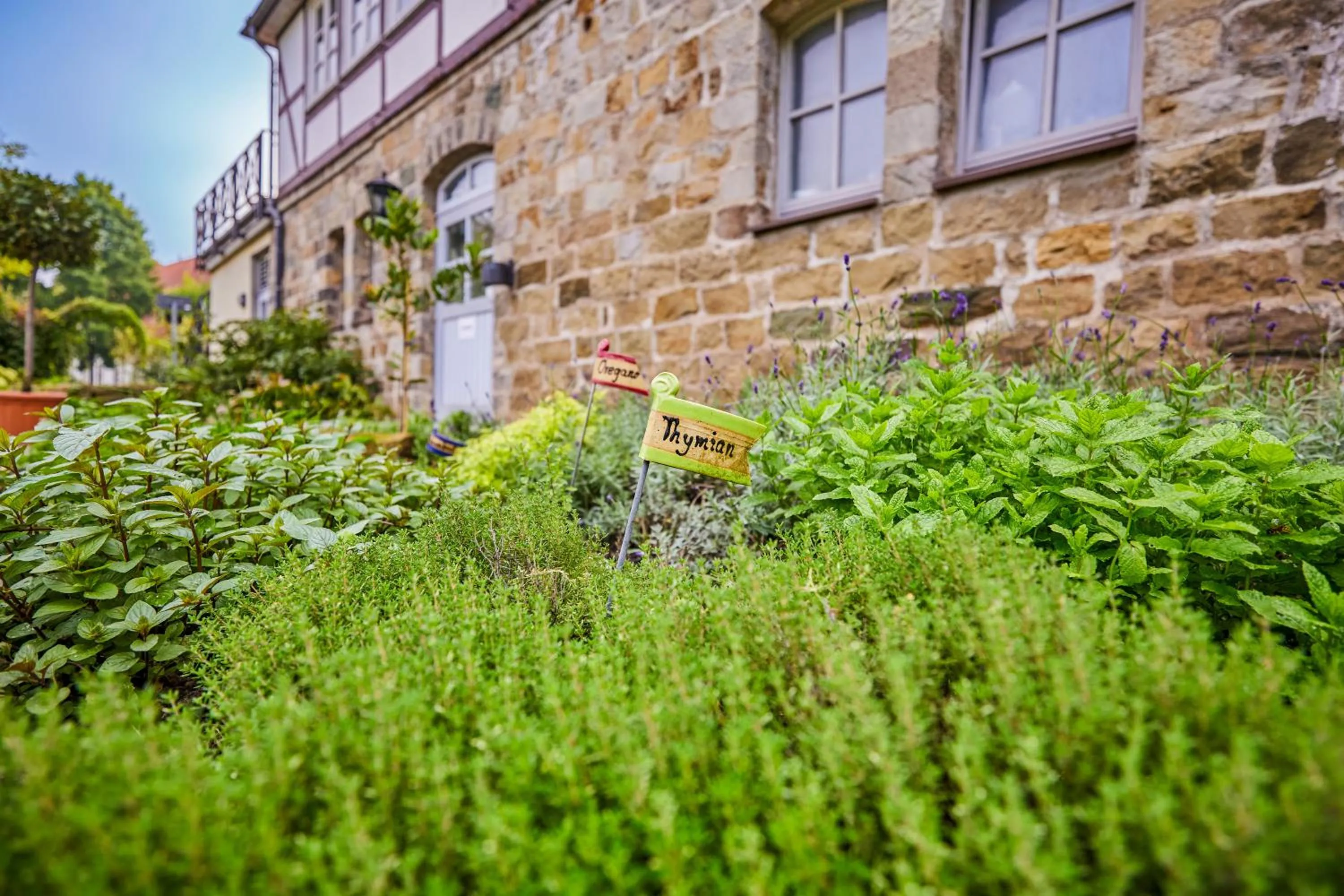 Garden in Landhaus Schieder