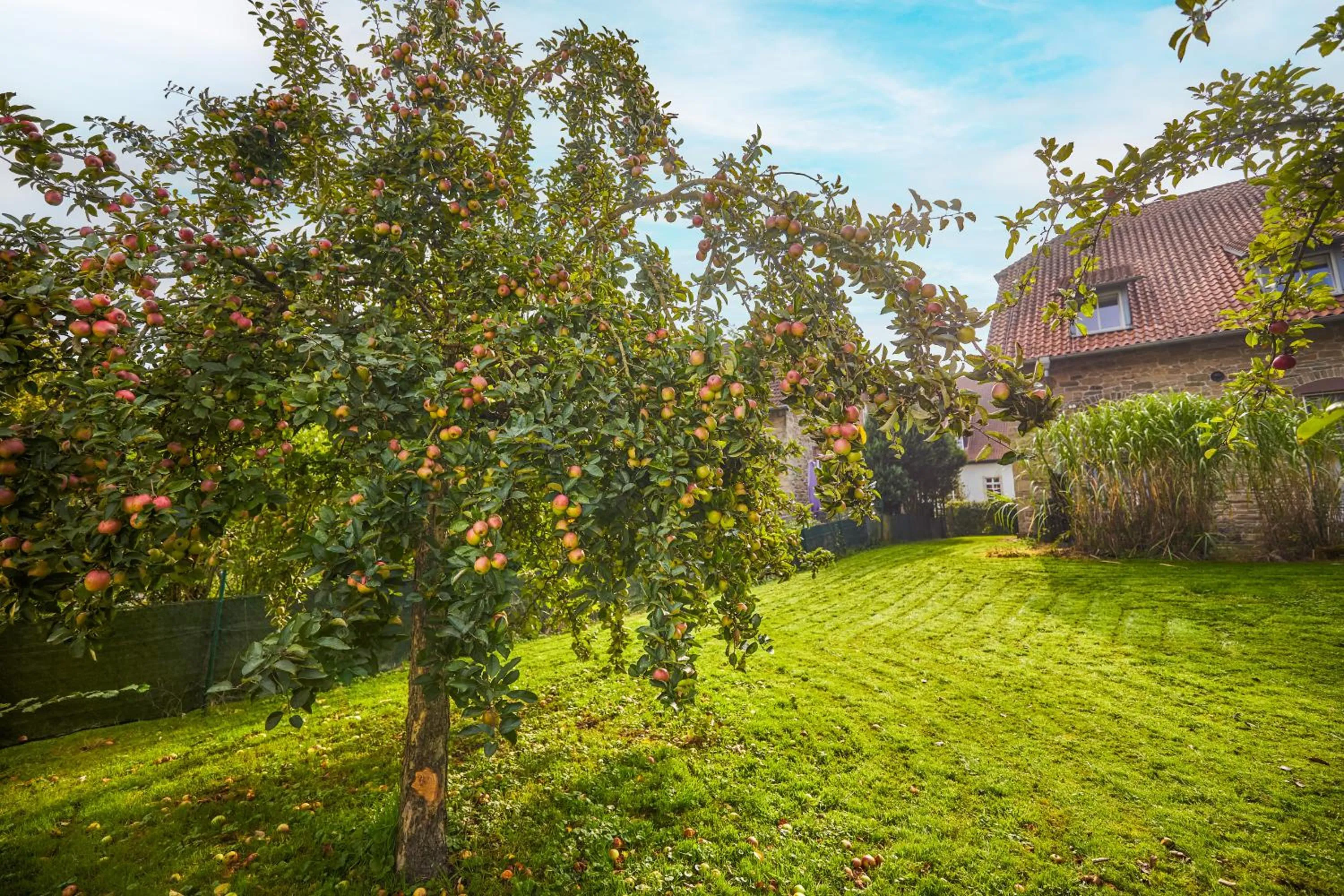Garden in Landhaus Schieder