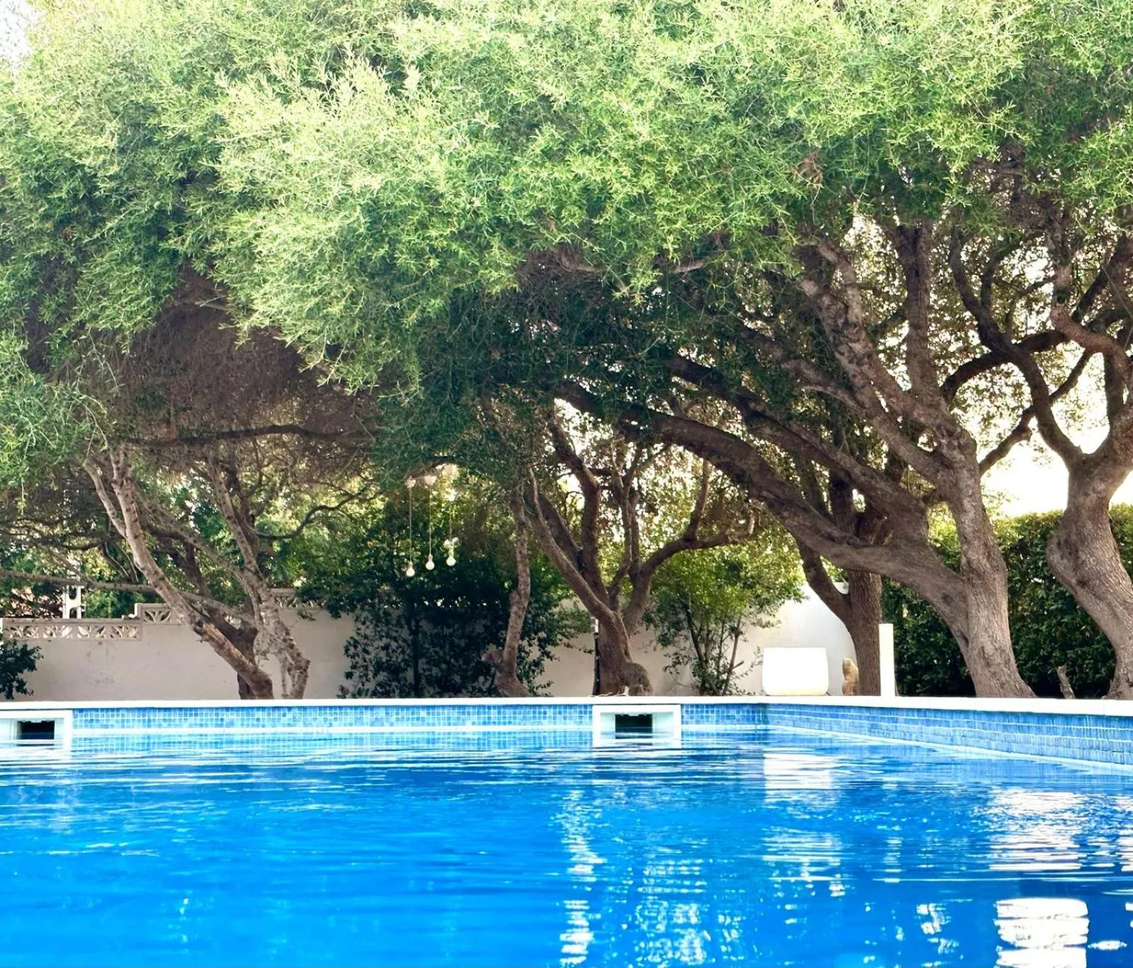 Swimming pool in Starbal Love