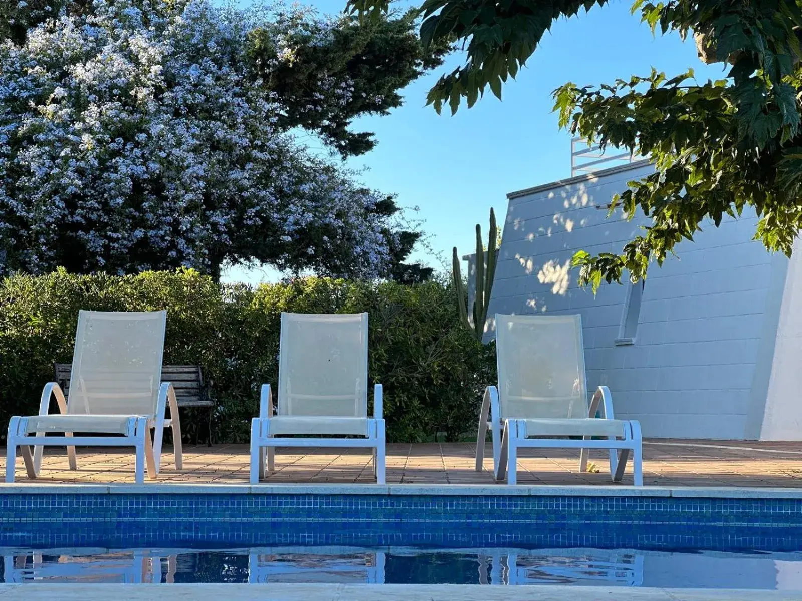 Starbal Love Starbal Love