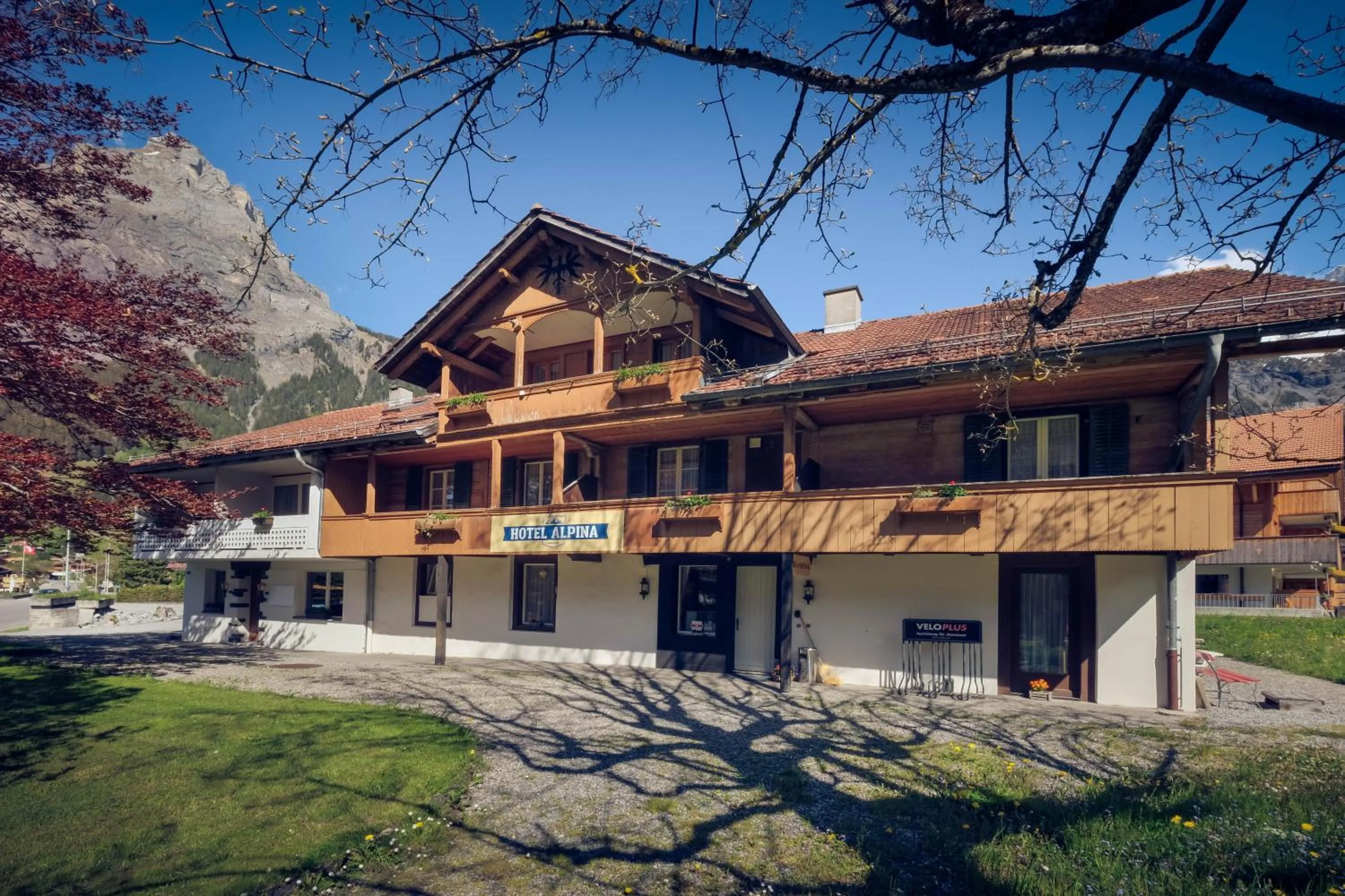 Hotel Alpina