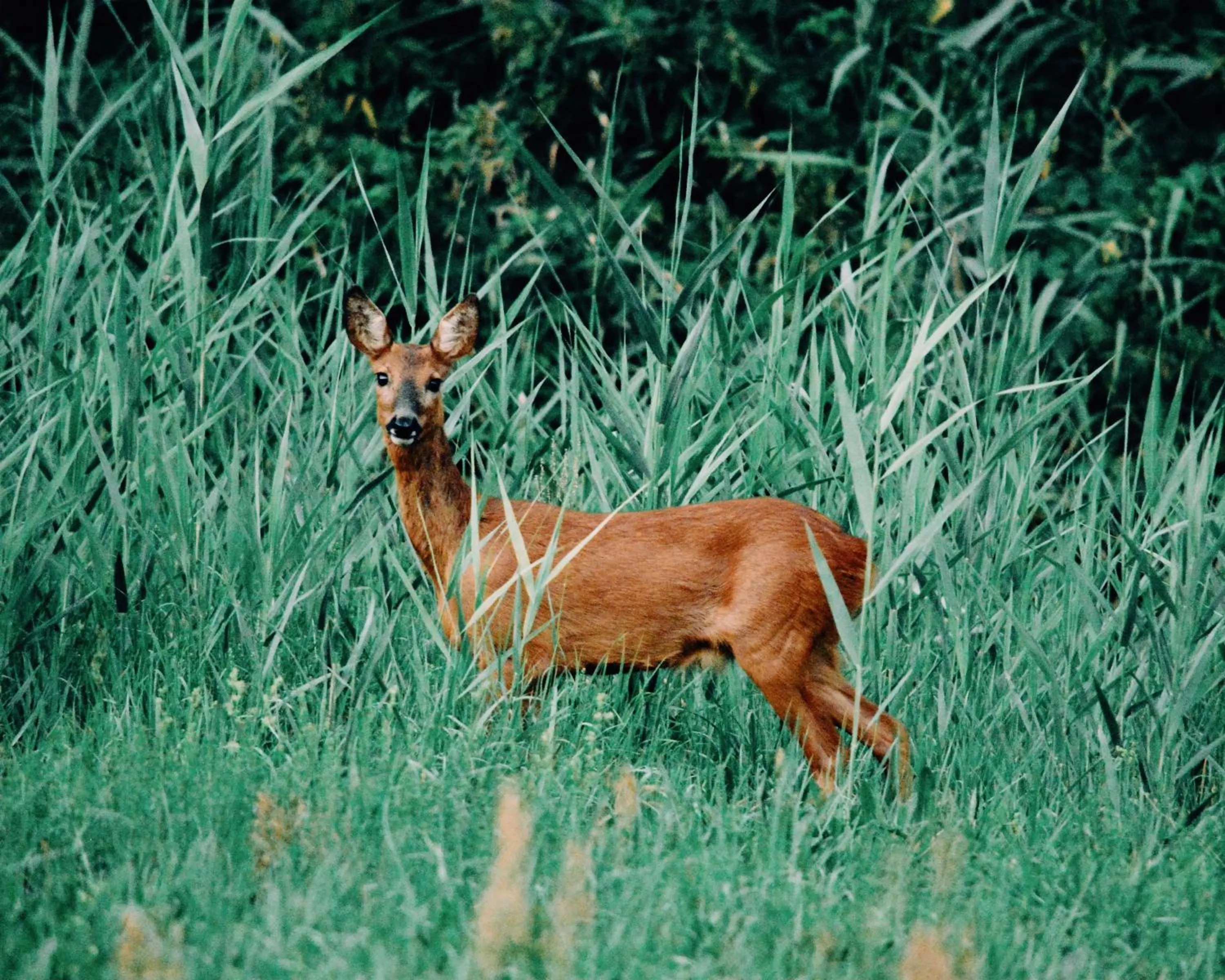 Hiking in Zur Margarethenmühle - Landgasthof und Waldhotel