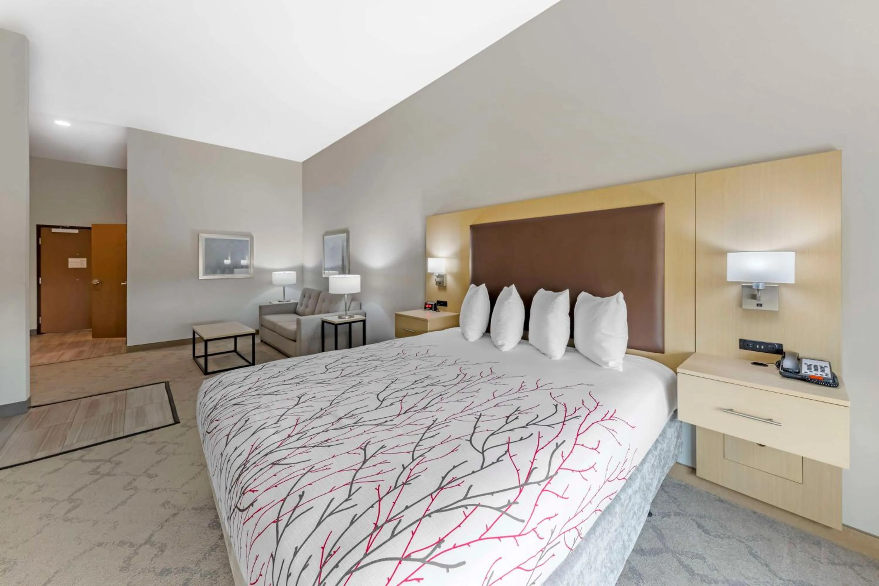 Photo of the whole room, Bed in Best Western Plus Chickasha Inn