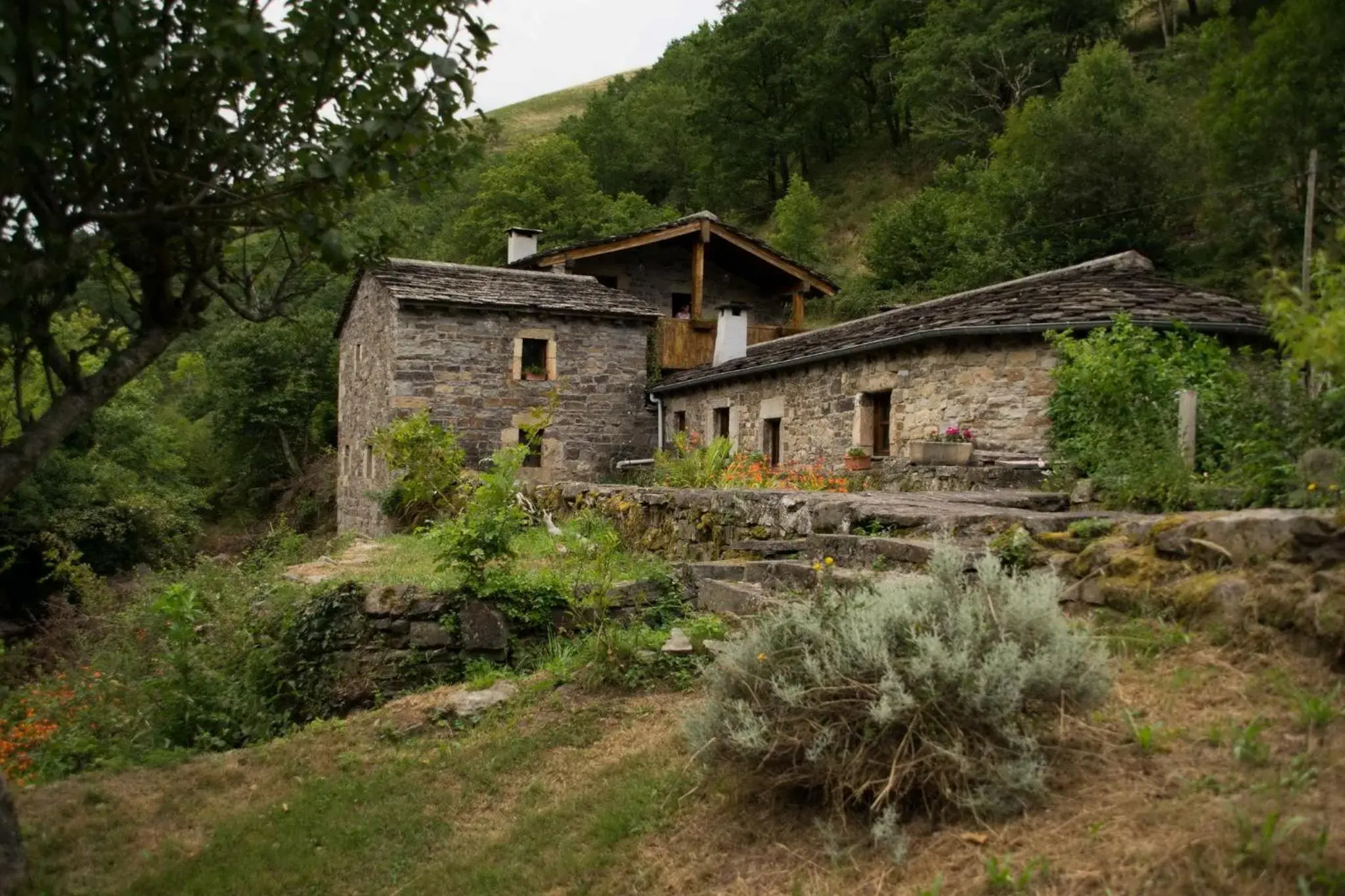 Molino de Yera Molino de Yera