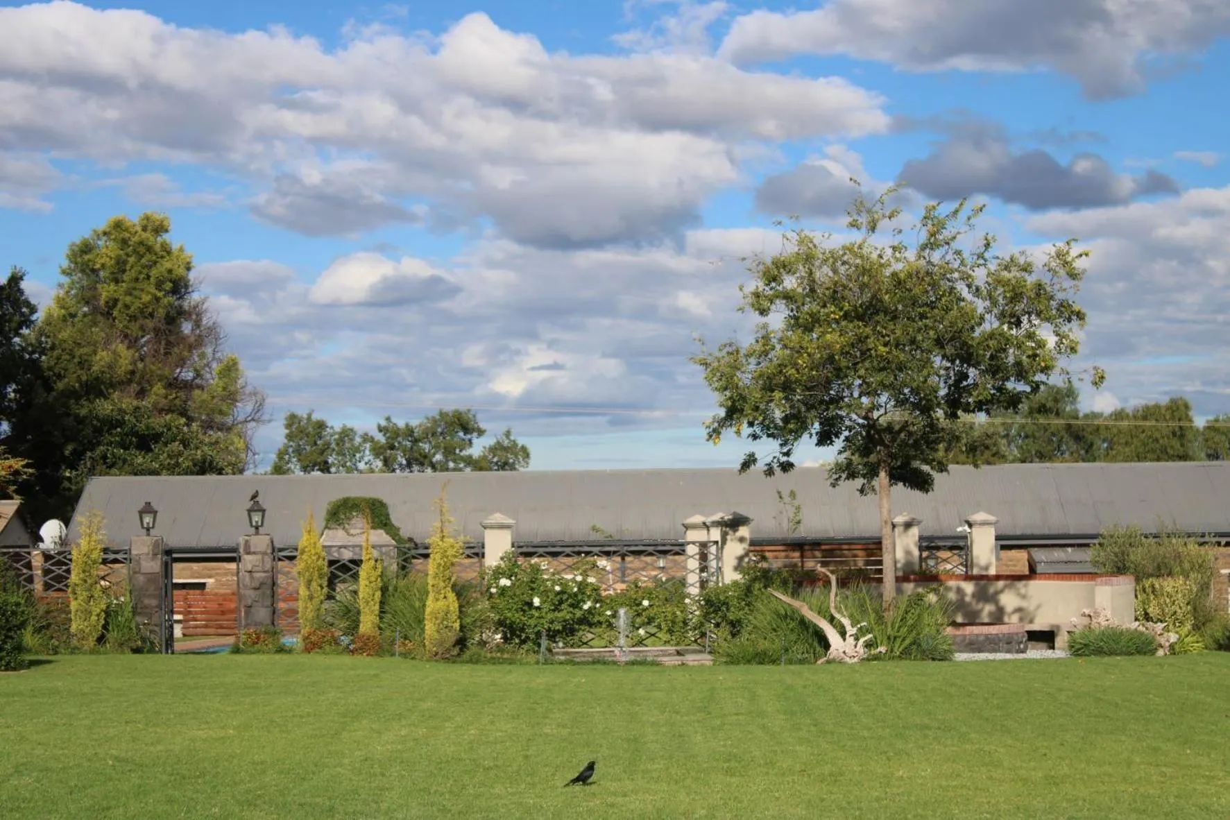 Property building in d Olive Rose Boutique Hotel Danielskuil