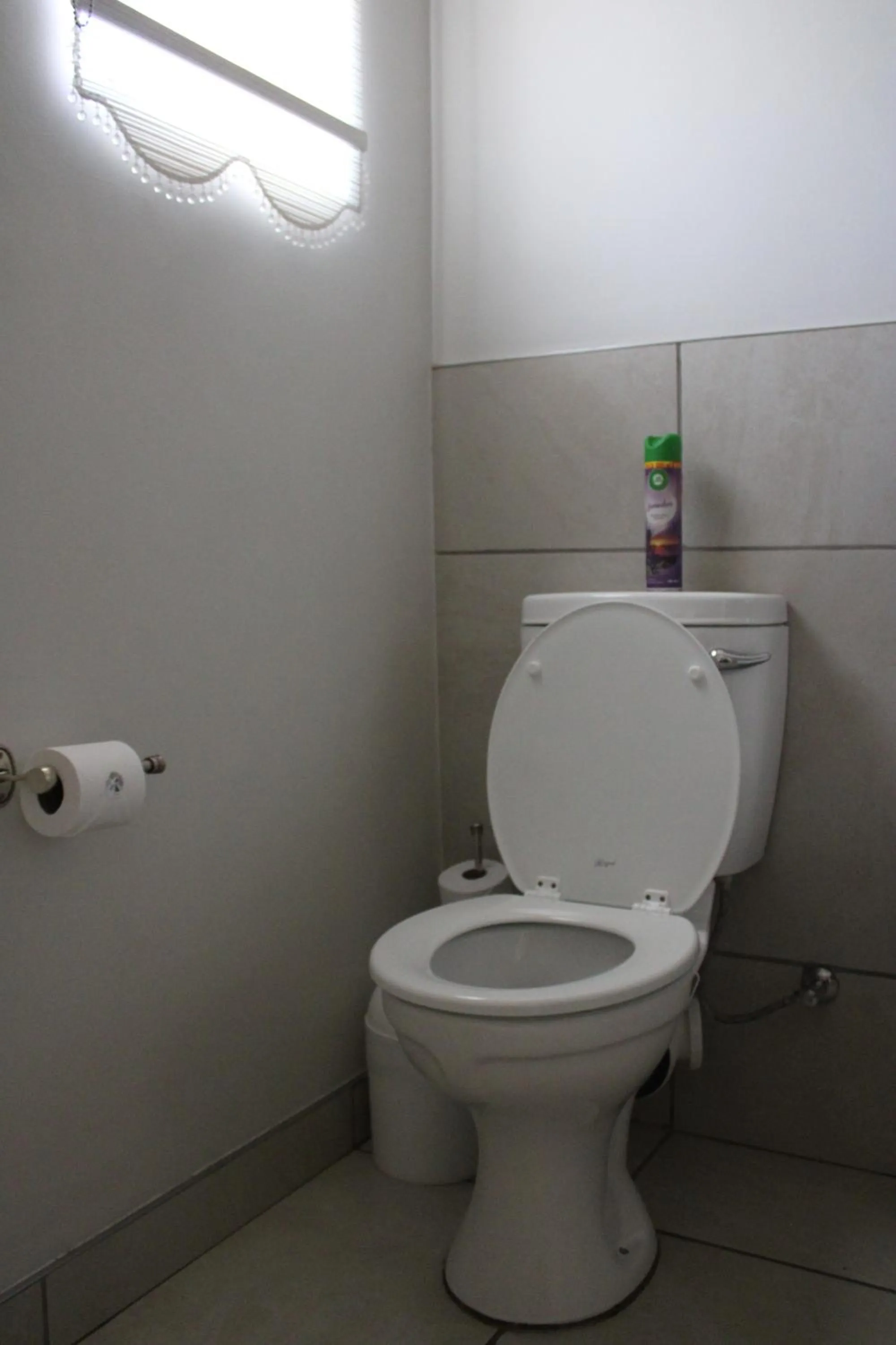 Toilet in d Olive Rose Boutique Hotel Danielskuil