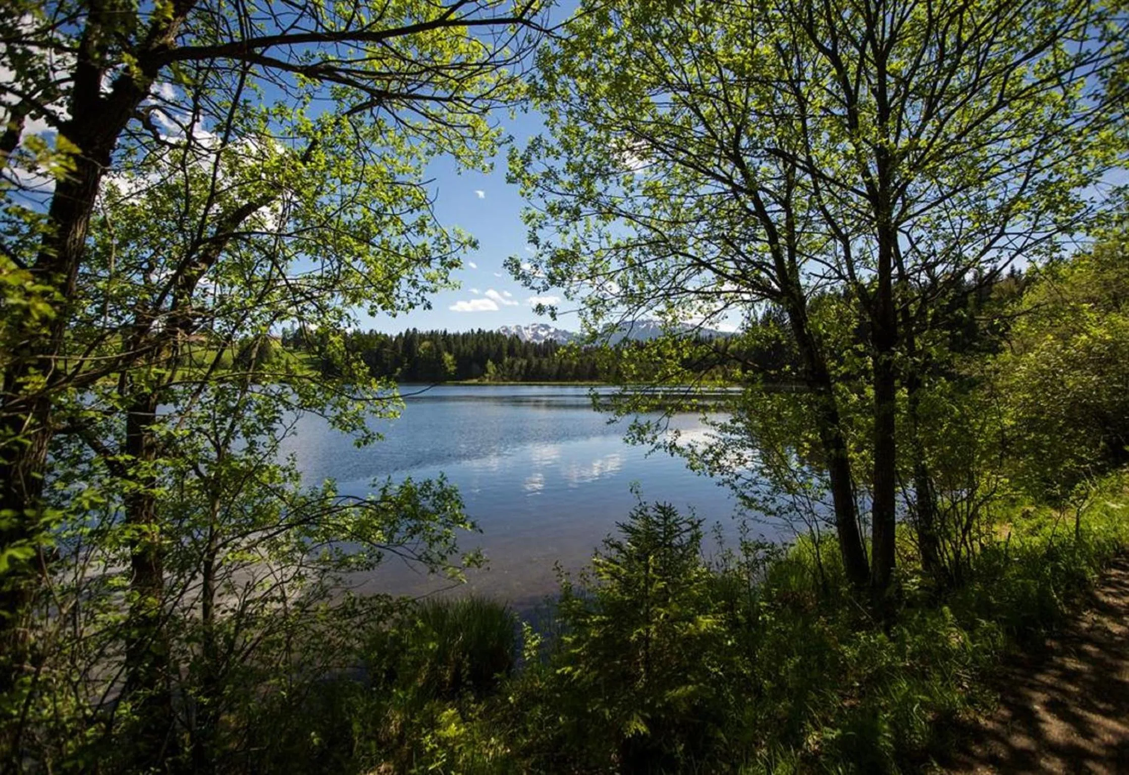 Natural landscape in Ferienhof Uhlemayr