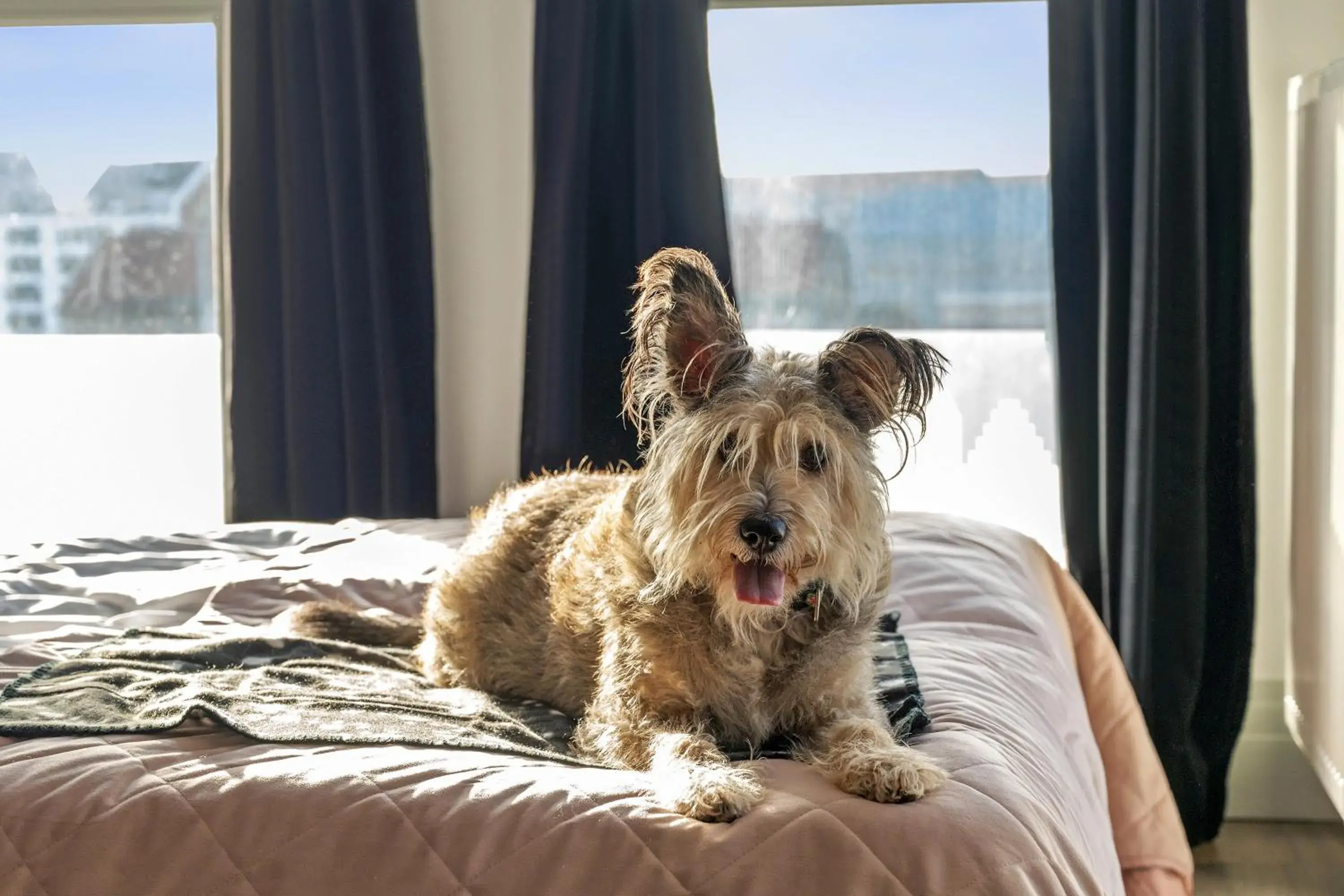 Bed in GRANO APARTMENTS Gdańsk Residence SPA & Wellness Bed in GRANO APARTMENTS Gdańsk Residence SPA & Wellness