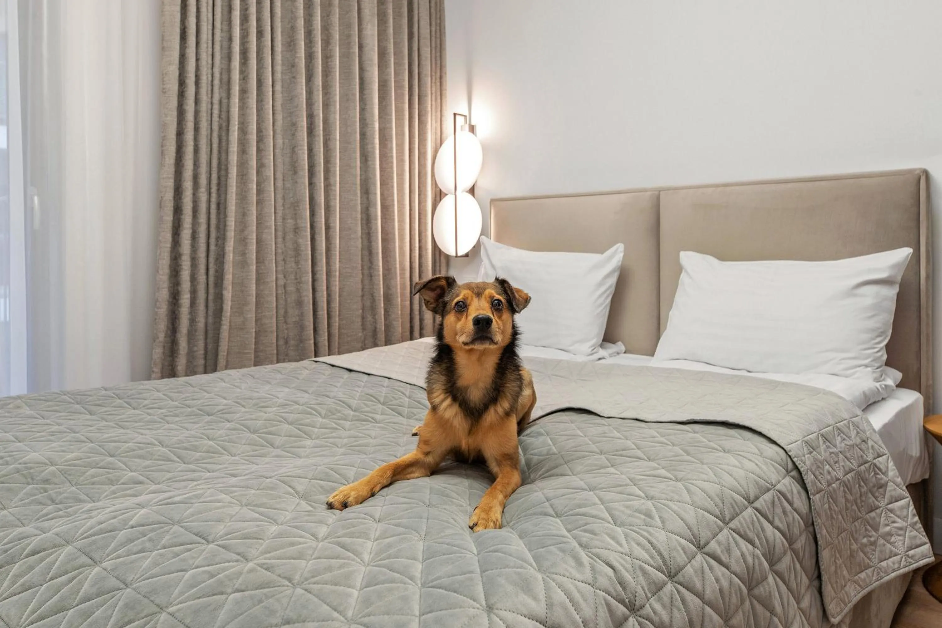 Bedroom, Bed in GRANO APARTMENTS Gdańsk Residence SPA & Wellness - GRANO APARTMENTS Gdańsk Old Town SPA & Wellness