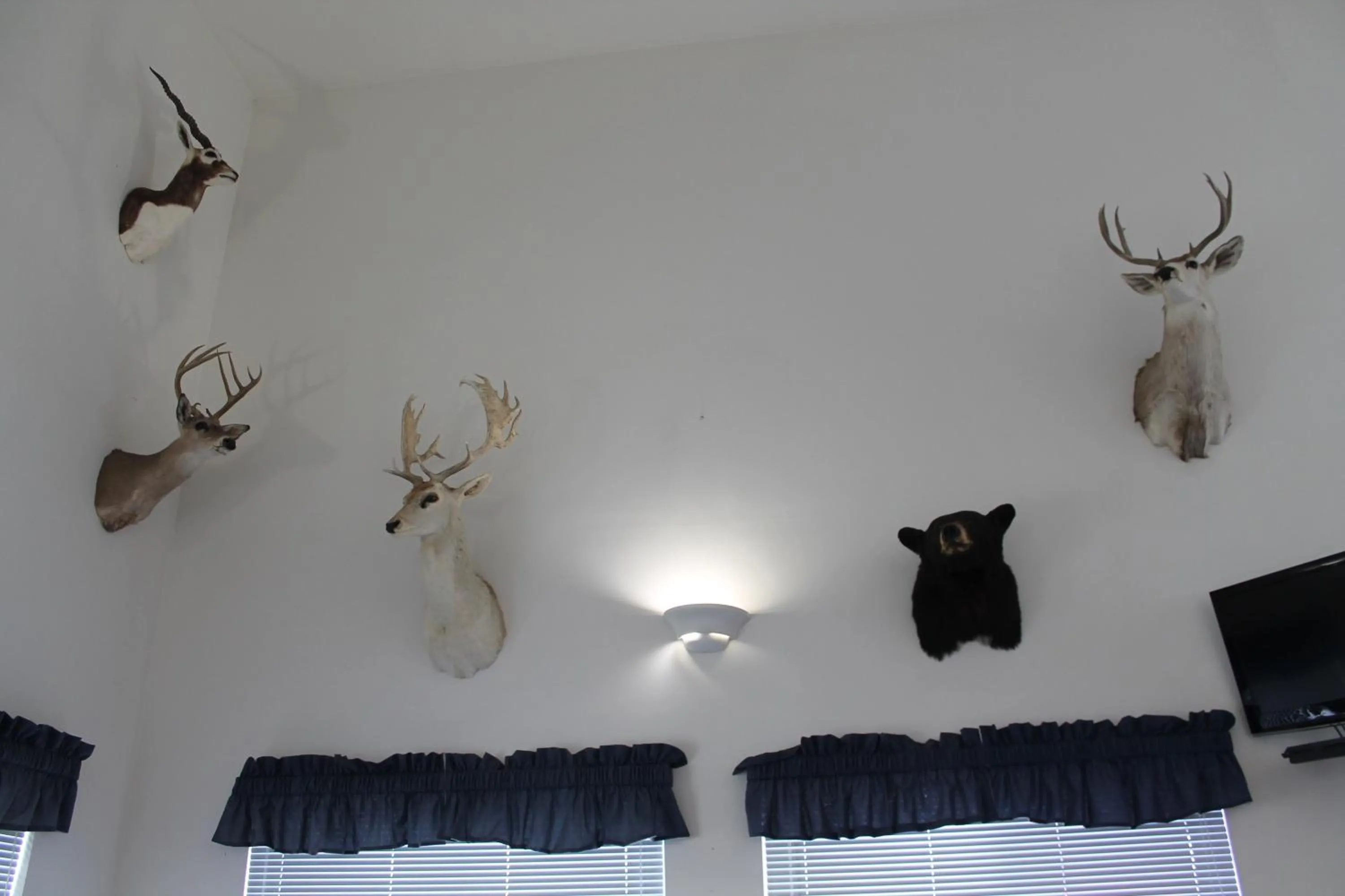 Decorative detail in American Host Inn