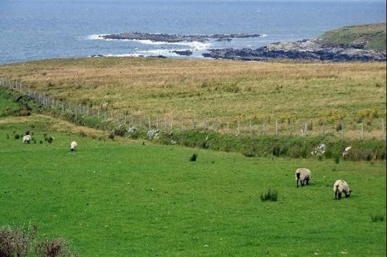 Natural landscape in The Yellow Rose B&B