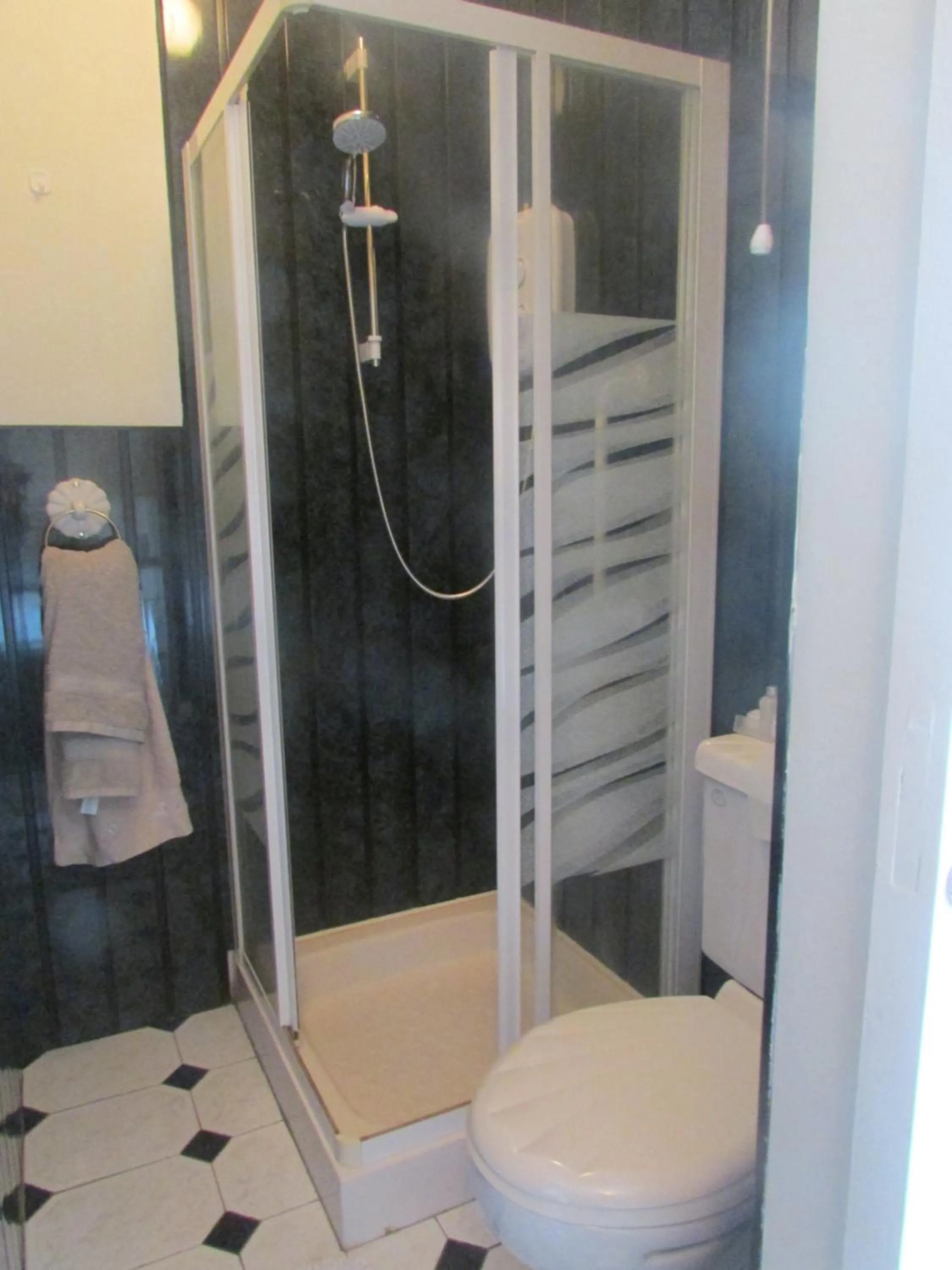 Shower in The Yellow Rose B&B