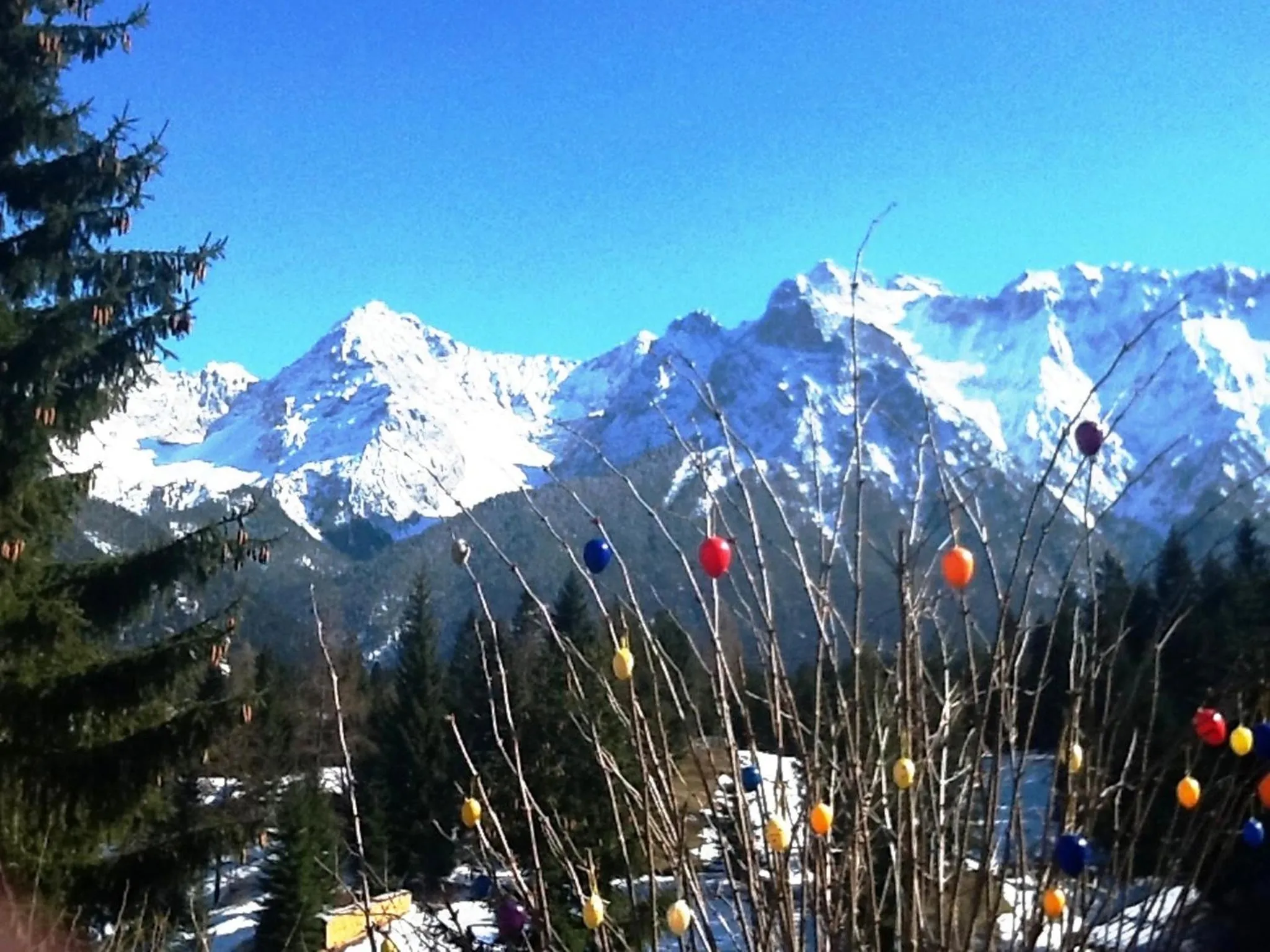 Spring in Bäckeralm© - B&B 16 +