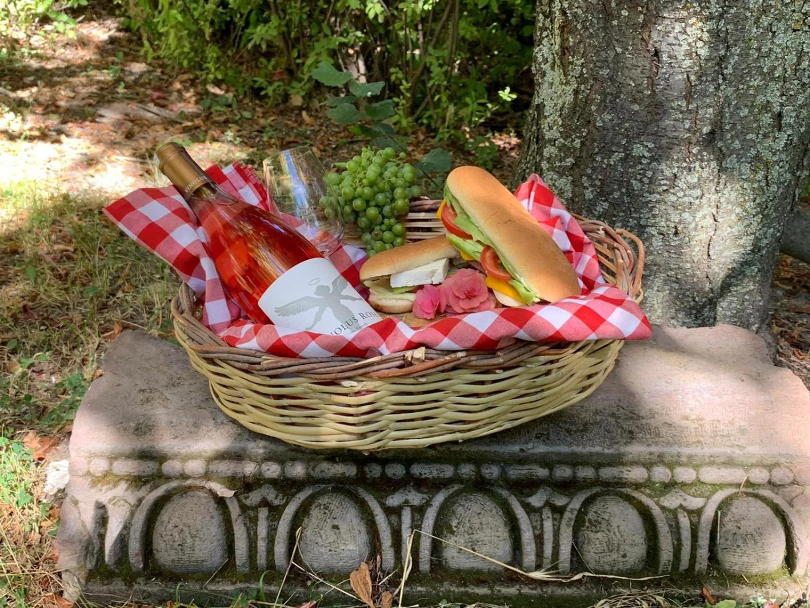 Entertainment in SUNOLUS VINEYARDHOUSe