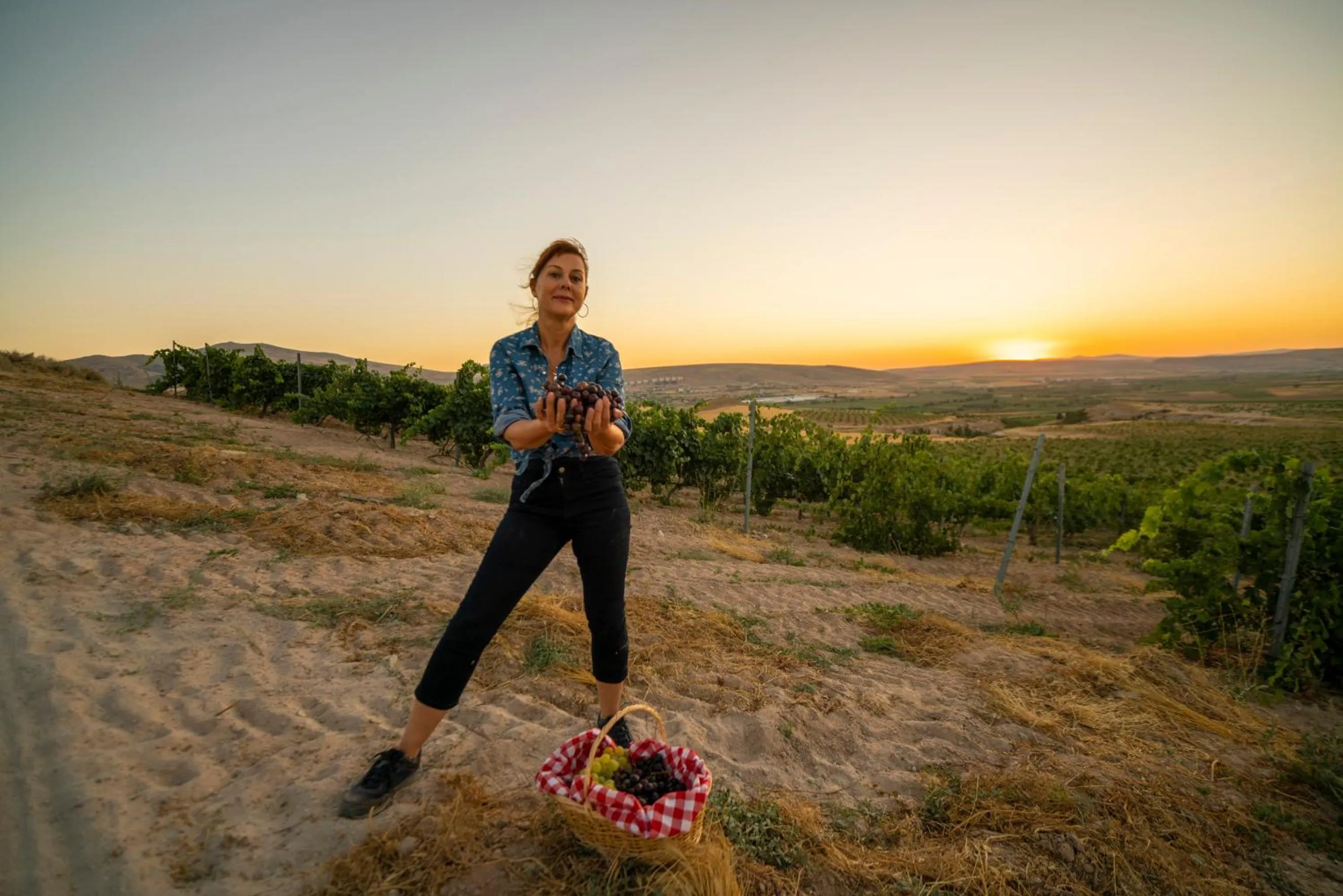 Day in SUNOLUS VINEYARDHOUSe