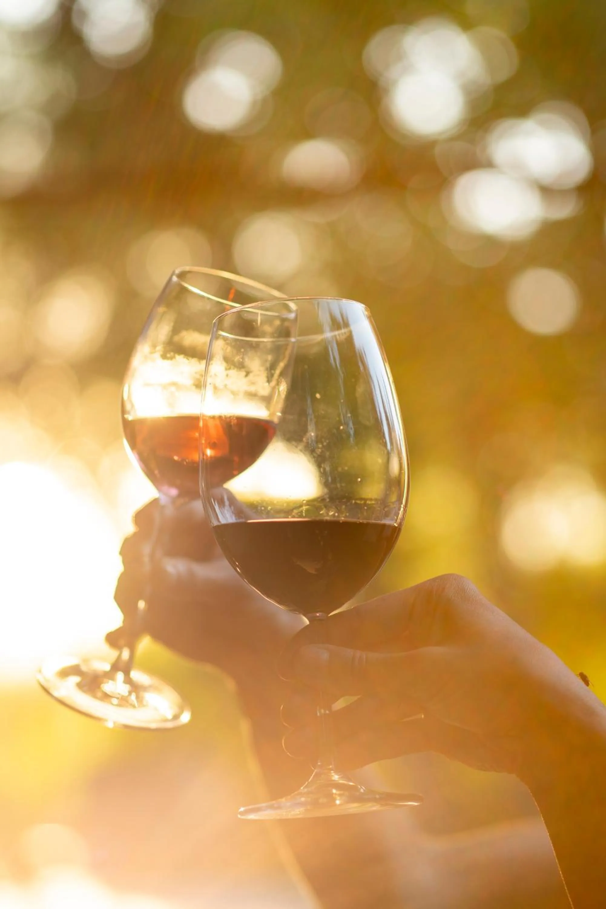 Day in SUNOLUS VINEYARDHOUSe